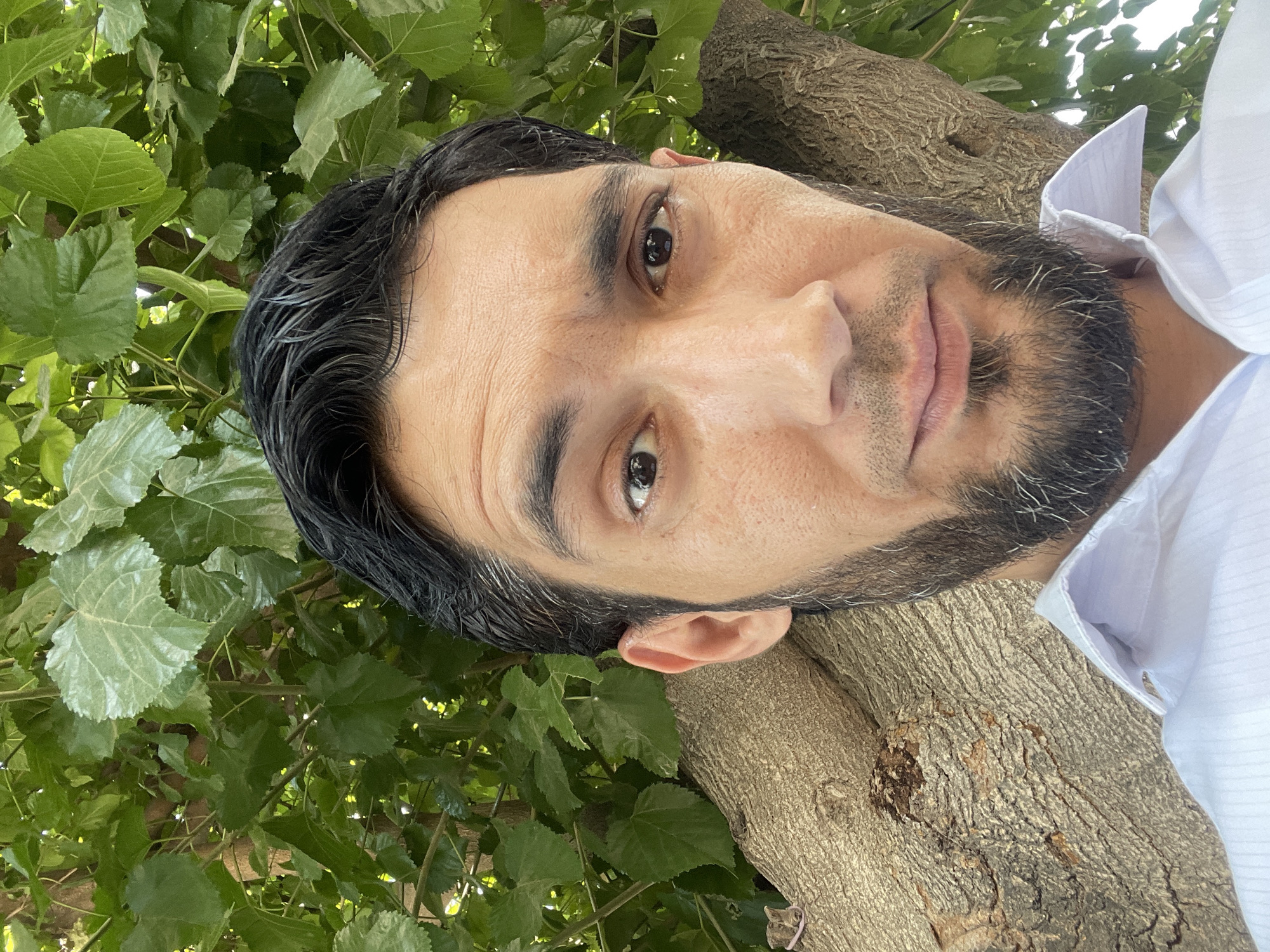 A man with dark hair and a beard is leaning against a tree trunk, with lush green leaves forming the background. He is wearing a white collared shirt. The scene appears to be outdoors, possibly in a park or garden within Tashkent, Uzbekistan, suggested by the prevalent flora characteristic of the region and the man's attire.