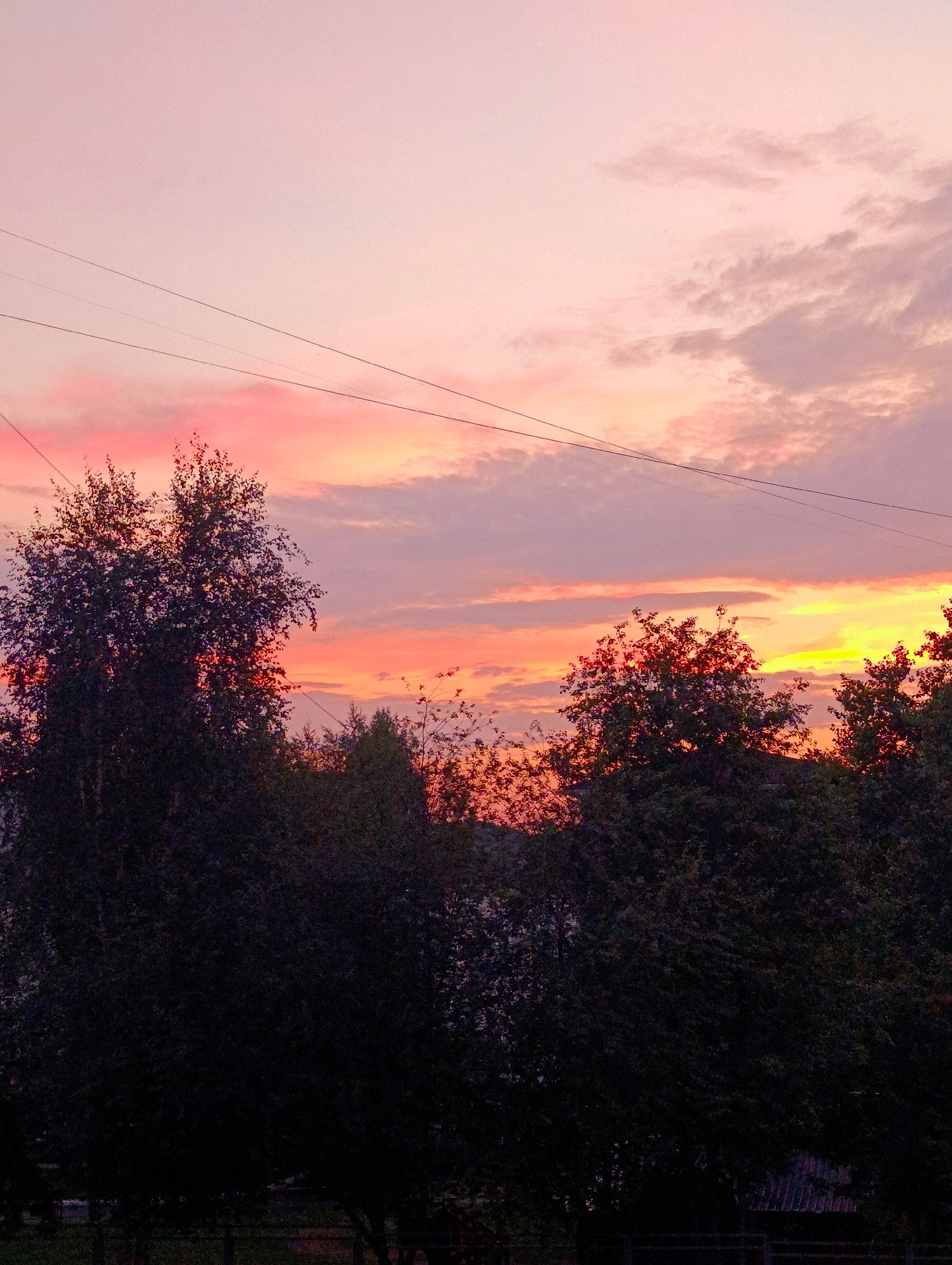 The image depicts a vibrant sunset over the city of Chaikovsky, Russia. Silhouetted against the colorful sky are several trees, with their dark foliage creating a stark contrast with the hues of orange, pink, and purple that paint the clouds. Power lines crisscross the upper portion of the frame, adding a man-made element to the natural beauty of the scene. The lower part of the image shows hints of the ground and some structures, possibly indicating a residential area or parkland. The overall atmosphere is one of peaceful serenity, capturing a fleeting moment of natural splendor.