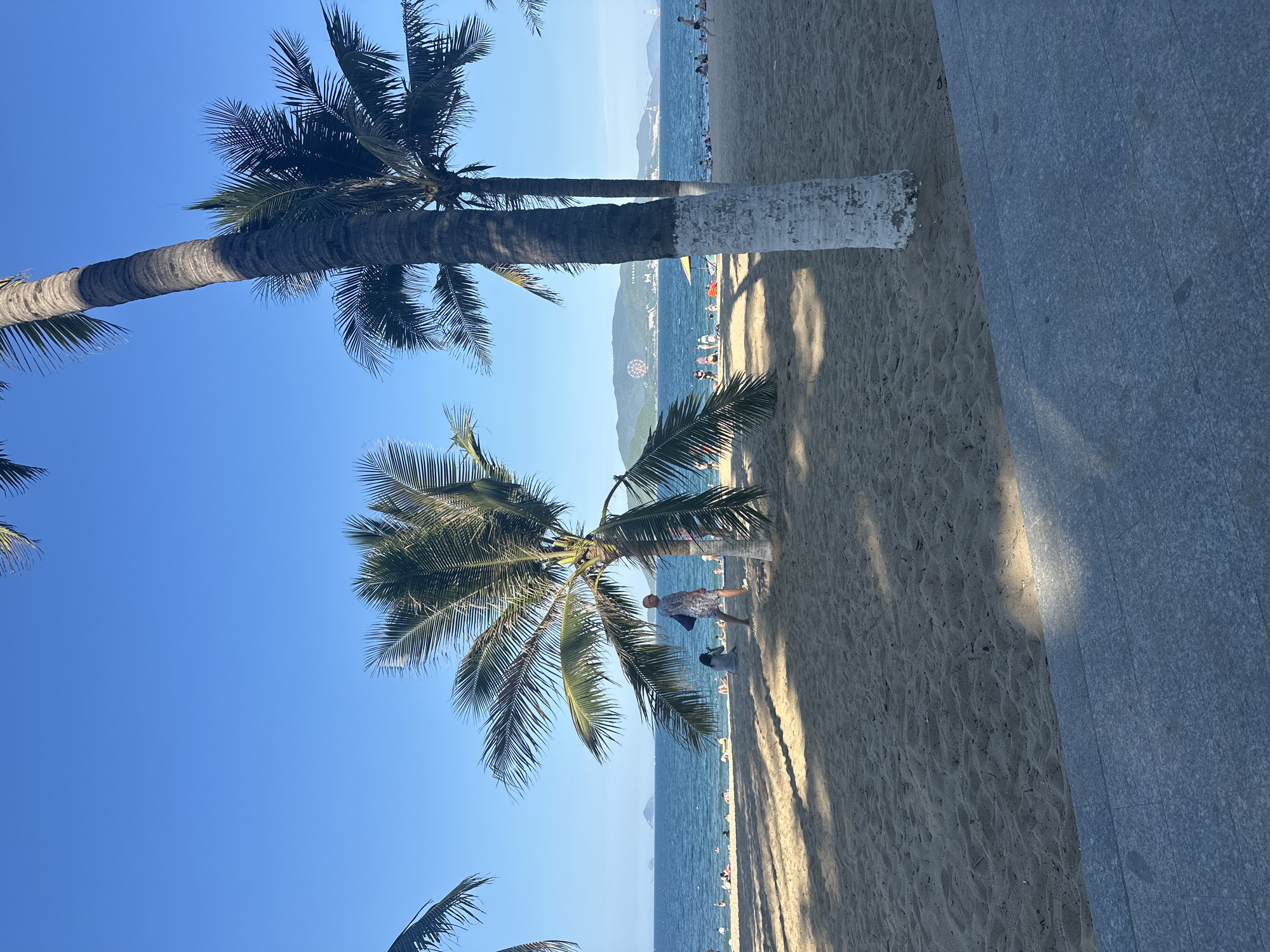 The image depicts a sunny beach scene in Nha Trang Ward, Vietnam. The foreground is dominated by a sandy beach with a paved walkway on the right. Several palm trees are scattered across the beach, with one prominently featured in the center, casting shadows on the sand. In the background, the ocean stretches out to the horizon under a clear blue sky. People are visible on the beach and in the water, engaged in various leisurely activities such as sunbathing and swimming. Further in the distance, a Ferris wheel and mountains can be seen, suggesting the presence of a city or resort area. The overall atmosphere is one of a typical beach day.