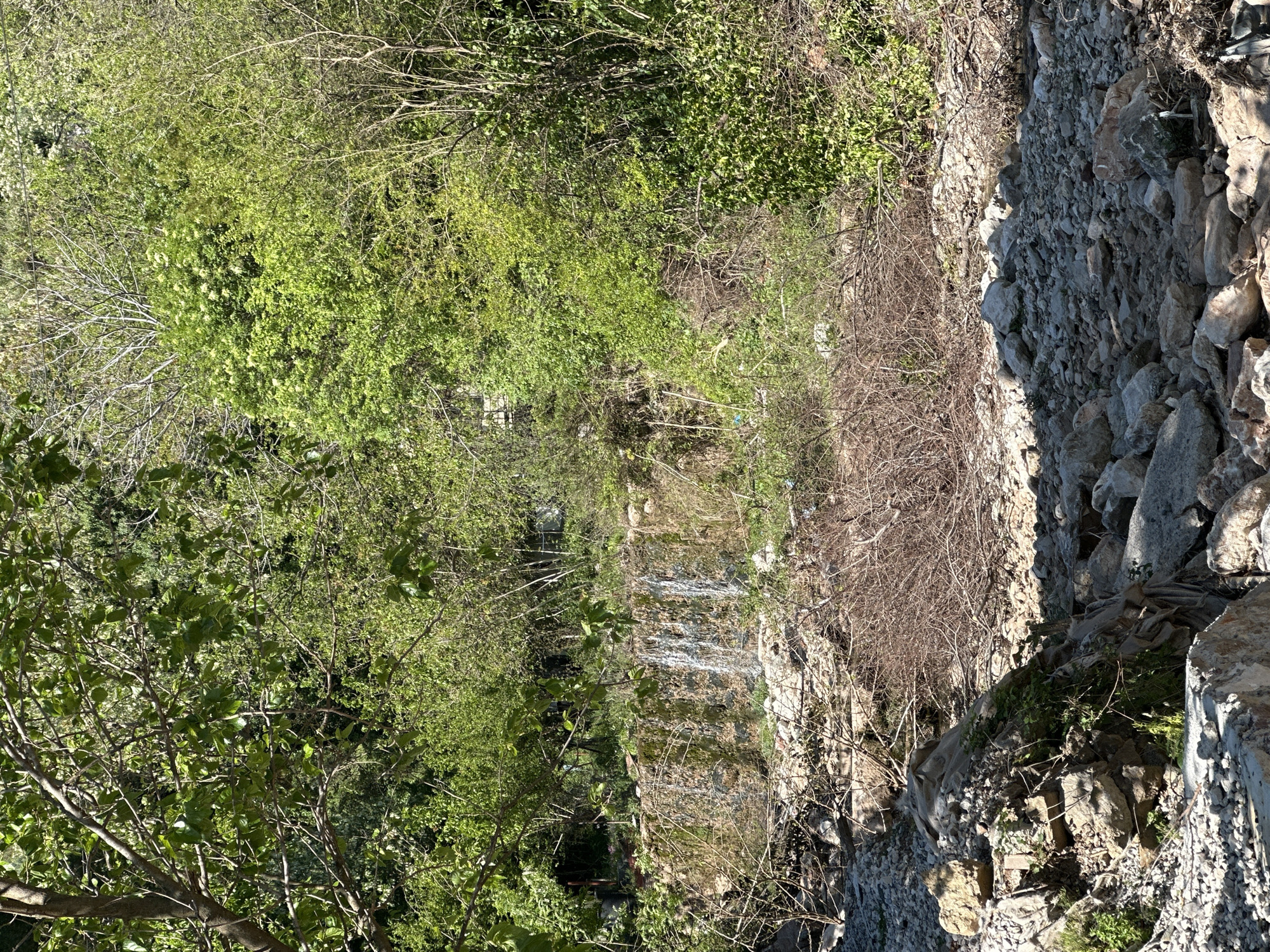The image shows a small ravine or gully in Budva, Montenegro. The left side is vegetated with green trees and bushes, while the right side is rocky and bare. The ravine itself appears to be dry. It is likely located near the edge of the city, where urban development meets natural terrain. The image appears to be taken from an elevated perspective.