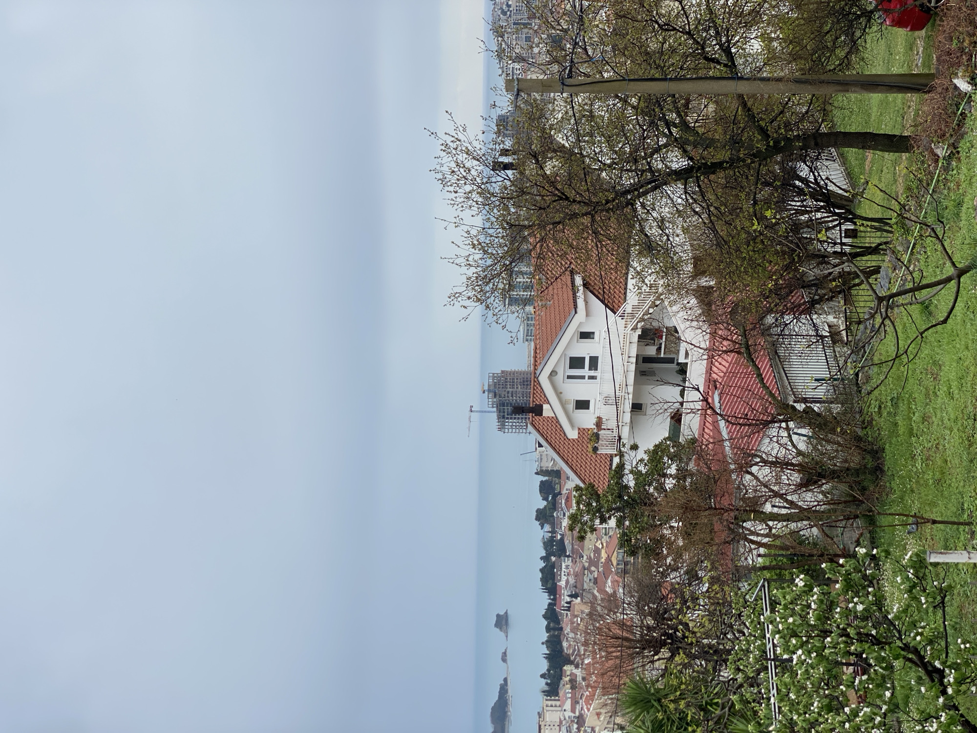 An elevated, wide-angle shot captures a panoramic view of Budva, Montenegro, under an overcast, light blue-grey sky. The horizon separates the sky from the calm, light blue waters of the Adriatic Sea. In the mid-distance, two rocky islets are visible offshore.
The city of Budva unfolds from the coastline upwards. Along the coast, to the left of the islets, older residential structures with red tile roofs are visible. Further to the right, along the coastline, a mix of modern, taller buildings is present, with one prominent high-rise building under construction, featuring an active construction crane.
In the mid-foreground, a multi-story white house with a terracotta tiled roof, balconies with white railings, and a chimney is a central feature. It is surrounded by diverse vegetation including deciduous trees with budding leaves, some bare branches, and a tree on the far left exhibiting white blossoms over green grass scattered with small white flowers. Green grass covers the foreground, interspersed with shrubs and smaller trees.
A concrete utility pole with overhead electrical wires is positioned vertically on the right side of the frame, partially obscured by tree branches. Sections of metal fencing are visible, bordering properties. The rear portion of a red vehicle is partially visible through foliage in the lower right corner. No individuals are present in the scene. The perspective suggests the image was captured from a hillside overlooking the city and the sea.