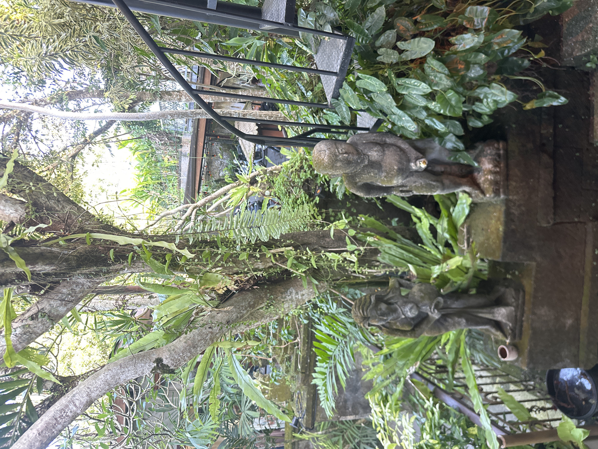 A stone sculpture of a seated figure, possibly a deity or monk, is nestled amongst lush greenery and dense foliage in an outdoor setting. The sculpture is weathered and appears ancient, with a serene expression. It is positioned on a stone base, surrounded by a variety of plants, including ferns and broad-leafed tropical plants. A black metal spiral staircase is visible in the background, partially obscured by the vegetation. The scene suggests a tranquil, possibly spiritual or meditative, garden or temple complex. Sunlight filters through the leaves, indicating it is daytime. The overall atmosphere is one of peace and natural beauty, with a hint of mystique from the weathered sculpture. The location cues, such as the abundance of tropical plants and the architectural style of the staircase, along with the provided location context of Ubud District, Indonesia, suggest a Southeast Asian setting. There is no visible text in the image.
