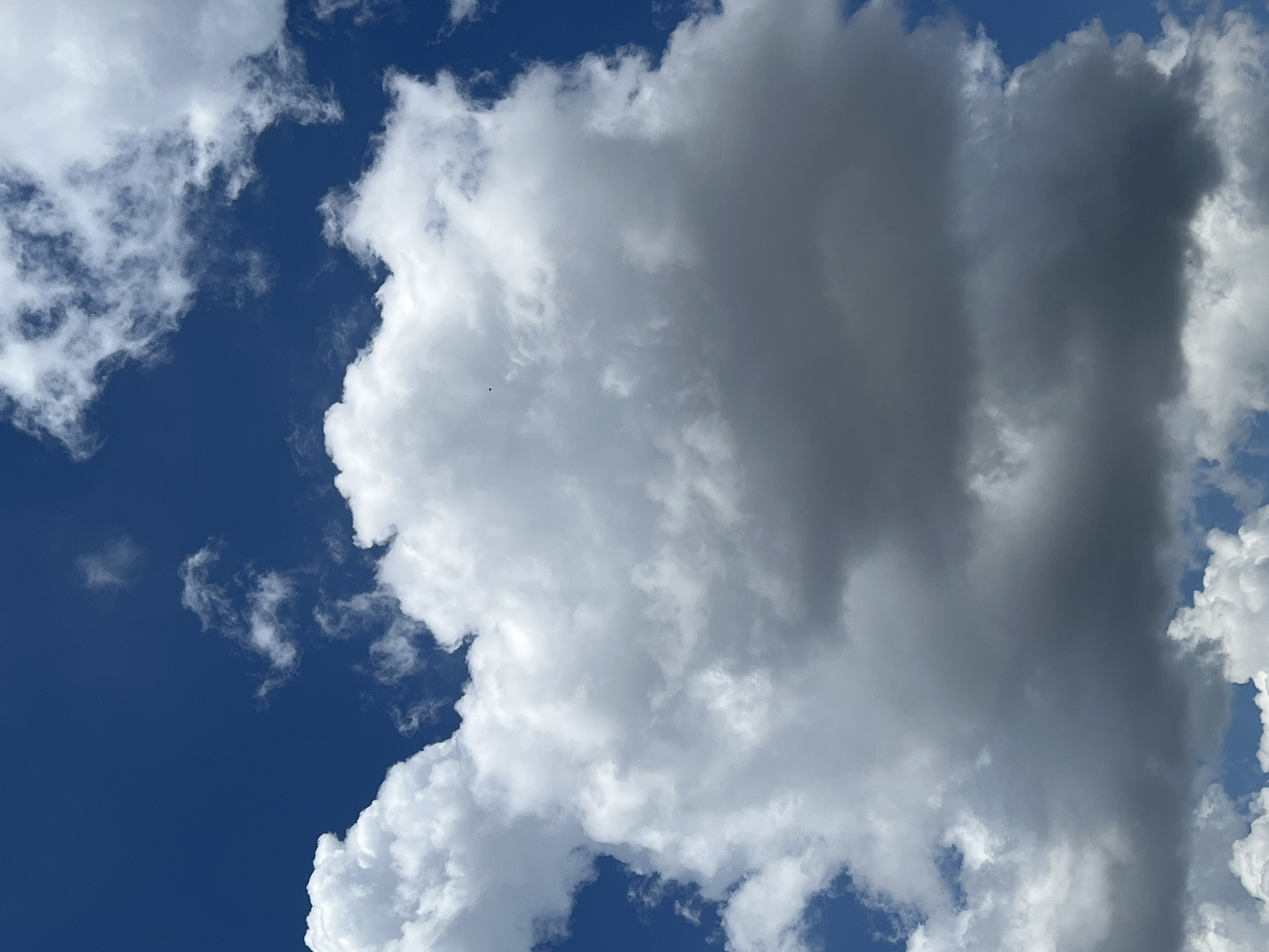 The image shows a bright blue sky with white and gray clouds. The largest cloud formation occupies the center of the frame and is primarily gray, suggesting a storm cloud. Smaller, fluffier white clouds are scattered on either side of the gray cloud. The scene depicts a daytime sky with varying cloud cover. The location is not identifiable within the image; therefore, the request to confirm the location in the city of Krasnodar, Russia, cannot be fulfilled.