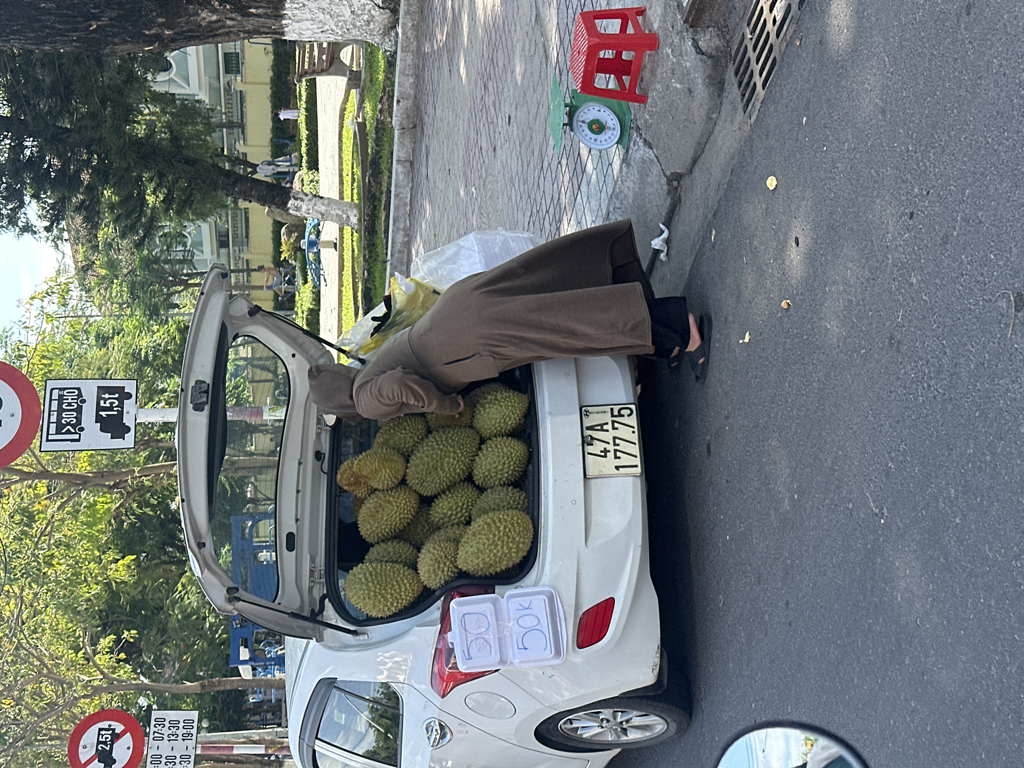 On a bright, sunny day in Bac Nha Trang Ward, Vietnam, a street vendor is captured selling durian fruits from the open trunk of a white hatchback car. A person, dressed in a long brown coat or abaya, dark trousers, and sandals, is seen bending over the car's trunk, which is filled to the brim with numerous large, spiky green durians.
Adjacent to the car on the paved sidewalk, a red plastic stool and a green mechanical weighing scale are set up, indicating the vendor's temporary selling station. A small white plastic container placed on the car's rear bumper displays "50k", likely signifying a price of 50,000 Vietnamese Dong. The car bears a Vietnamese license plate, "47A - 177.75".
In the background, beyond the pavement, there's a lush green landscape with trees and distant buildings, suggesting a park or urban green space. Two distinct traffic signs are visible on the left. A circular sign indicates a weight restriction of "2,5t" (2.5 tons) during specific time intervals: "07:00-07:30", "13:00-13:30", and "19:00". Below it, a rectangular sign shows regulations for vehicles with ">30 CHỖ" (more than 30 seats) and a weight limit of "1,5t" (1.5 tons), pertaining to larger vehicles. The image portrays a common sight of roadside commerce in Vietnam.