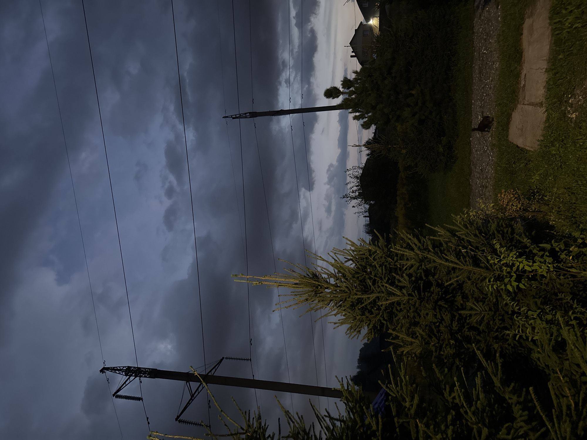 The image depicts a scene at dusk in Staroye Mikhailovskoye, Russia, with dramatic stormy clouds dominating the sky. In the foreground, large evergreen trees are visible, with a smaller fir tree in the center. Power lines stretch across the frame, supported by two tall transmission towers. In the middle ground, a dark pathway is surrounded by grass, with a small dark animal, possibly a cat, walking on it. Several houses with illuminated windows are nestled in the background. The overall atmosphere is dark and moody due to the overcast sky.