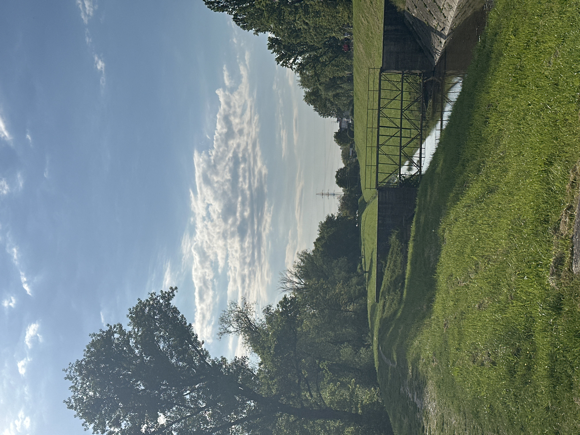 The image captures a serene outdoor landscape, likely a park or green area within the City of Zagreb, Croatia, under bright daytime conditions. The sky is a clear, vibrant blue, adorned with scattered white, elongated clouds that stretch horizontally across the upper half of the frame.
In the midground, a narrow waterway or canal flows gently, its calm surface reflecting parts of the sky and the surrounding greenery. A dark, possibly metallic, bridge or sturdy barrier with a lattice-like design spans the waterway on the right side of the image, contrasting with the natural elements.
The banks of the waterway are covered in lush, vibrant green grass, which slopes upwards on the right, leading to a concrete or stone embankment that lines the water's edge. Dense foliage from numerous deciduous trees with dark green leaves frames the scene, extending along both sides of the waterway and into the background. A large, dark tree occupies the lower left foreground, its substantial branches reaching upwards.
In the distance, an electricity transmission pylon is visible against the horizon, suggesting the proximity of urban or infrastructure development beyond the immediate natural setting. The scene is devoid of people or discernible activity, conveying a tranquil and quiet atmosphere. The lighting indicates a sunny day, likely morning or late afternoon. There is no visible text in the image.