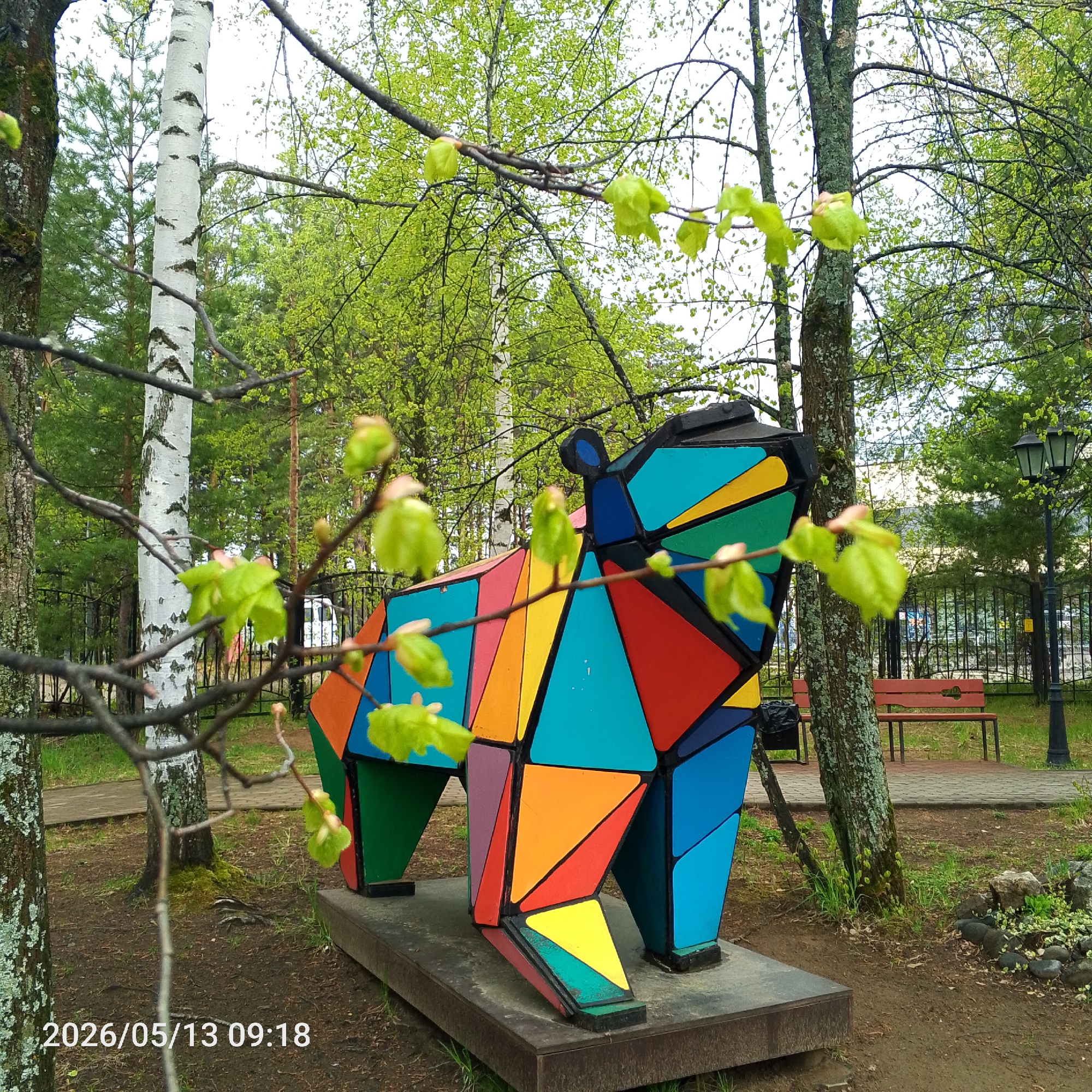 The image captures a colorful, geometric bear sculpture in a park setting. The sculpture, composed of many triangles, exhibits a vivid array of colors including red, orange, yellow, green, blue, and purple. It stands on a gray, rectangular base. A birch tree stands to the left of the bear, and branches with fresh green leaves frame the sculpture in the foreground. In the background, a park scene includes trees, a bench, a lamppost, a metal fence, and a paved path. The image's timestamp indicates May 13, 2026. The bear sculpture is located in the city of Chaikovsky, Russia.