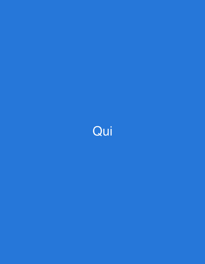 A digital image displays a uniform, solid blue background. The white text "Qui" is prominently featured, centered in a sans-serif typeface. No other visual elements, such as objects, subjects, people, actions, or specific environmental features, are discernible within the frame. This scene is situated in the city of Casablanca, Morocco.