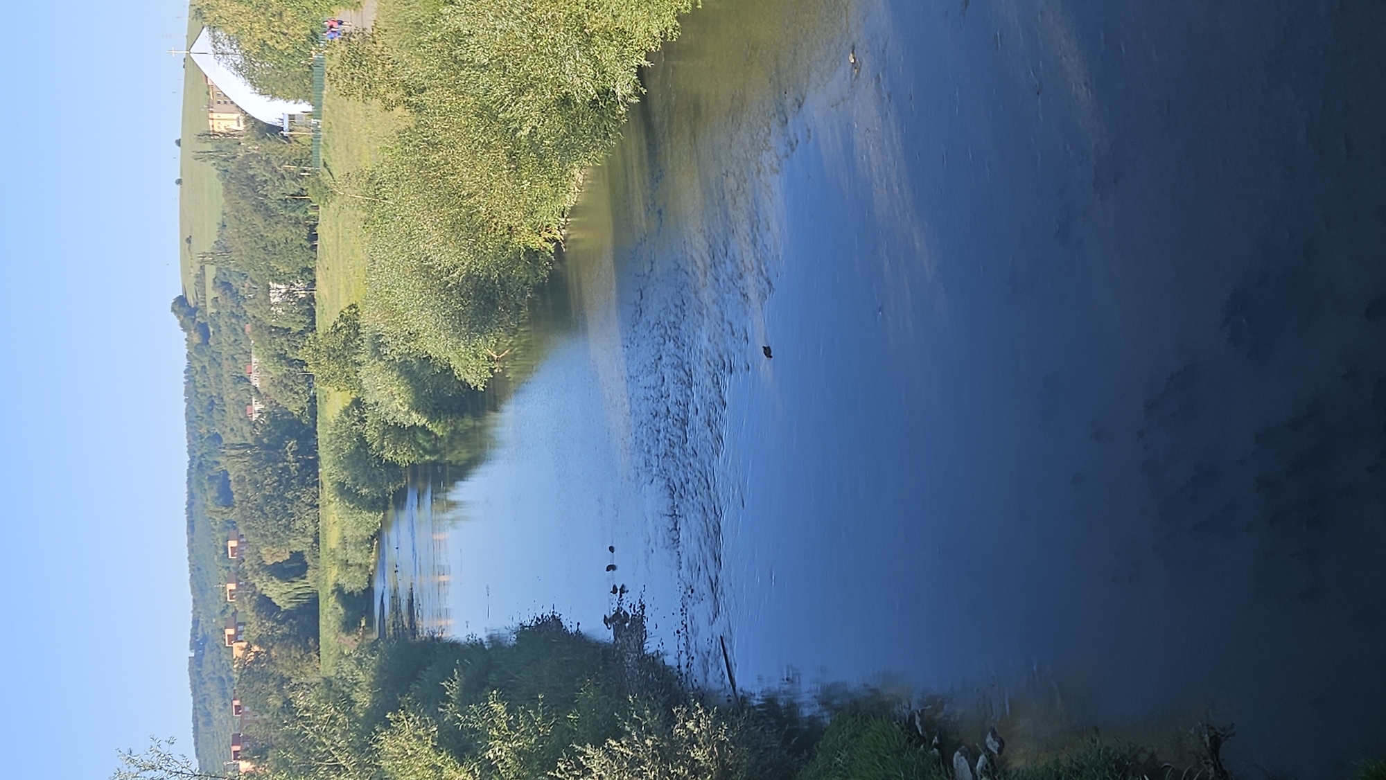 The image shows a wide, slow-moving river flowing through a green landscape on a clear, sunny day. The riverbanks are lined with dense green trees and bushes. In the background, there are rolling hills covered with vegetation and some buildings. On the right bank, a white building with a cross on top, likely a church, is visible. Further in the distance, several residential buildings can be seen. A paved path runs alongside the river on the right bank, where two people are walking. Several small dark objects, possibly ducks or other water birds, are visible in the water closer to the left bank. The water appears somewhat murky in places, especially towards the bottom of the image. The overall scene suggests a peaceful, natural setting within or on the outskirts of a town. This scene is consistent with the area along the Sekčov river in Prešov, Slovakia, particularly the stretch near the church of St. Nicholas (Kostol sv. Mikuláša) in the Sídlisko III neighborhood.