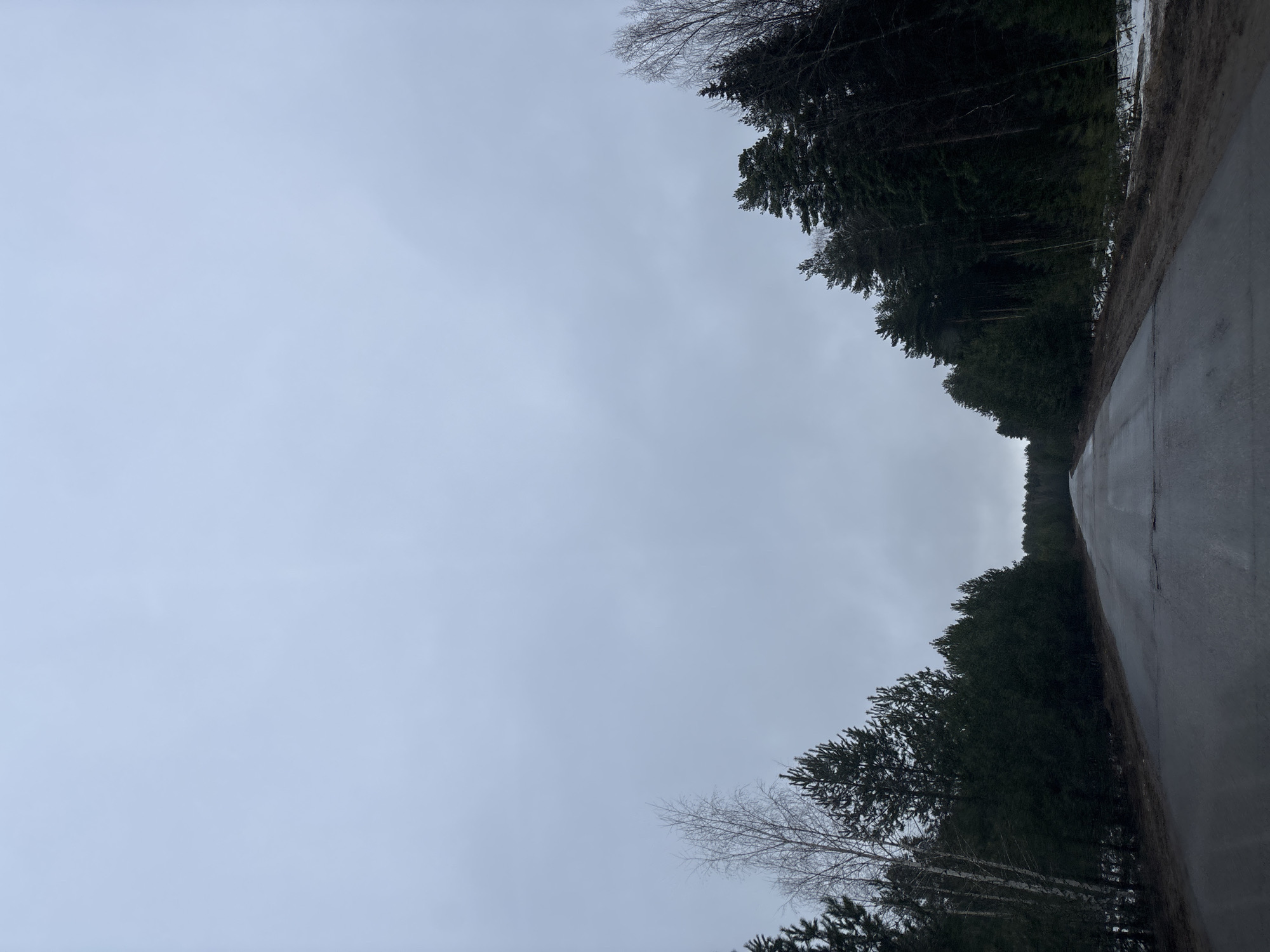 The image shows a road stretching into the distance, bordered by dense coniferous trees on both sides. The sky is overcast and gray. The road surface appears wet, possibly due to rain or recent melting of snow. The location is Chaikovsky, Russia.