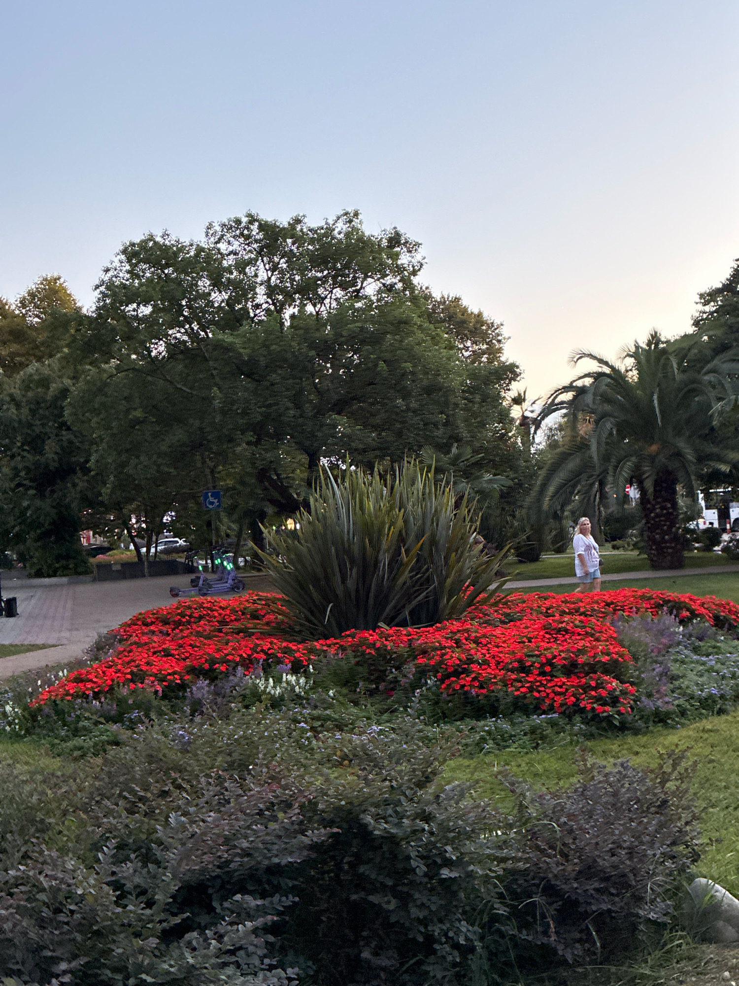 In Sochi, Russia, a woman stands in a park, her white top and denim shorts a contrast to the lush greenery. She is positioned near a vibrant flowerbed bursting with red blossoms, a stark accent against the backdrop of manicured bushes and tall trees. Beyond the flowerbed, several electric scooters are parked, their lights glowing, and a blue sign with a wheelchair symbol is visible on a pole. Palm trees tower in the distance, hinting at the subtropical climate of the city. The sky above is a soft, pale blue, transitioning to a lighter hue at the horizon, suggesting it is late afternoon or early evening.