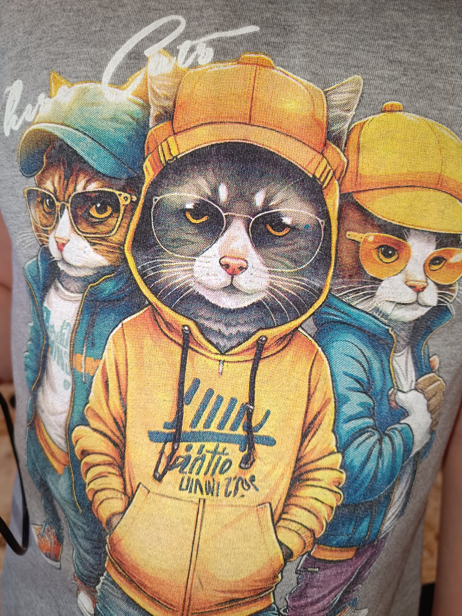 The image shows a gray t-shirt with a graphic print of three cats styled as hip-hop characters. The leftmost cat is an orange tabby wearing a blue baseball cap and gold-rimmed sunglasses, a white t-shirt and a blue track jacket. The middle cat is a grey and white cat wearing a yellow hoodie with a yellow baseball cap and silver-rimmed glasses. The rightmost cat is a white and orange cat wearing a yellow baseball cap and yellow-rimmed sunglasses and a blue track jacket. The location is unknown and it does not appear to be in Tobolsk, Russia.