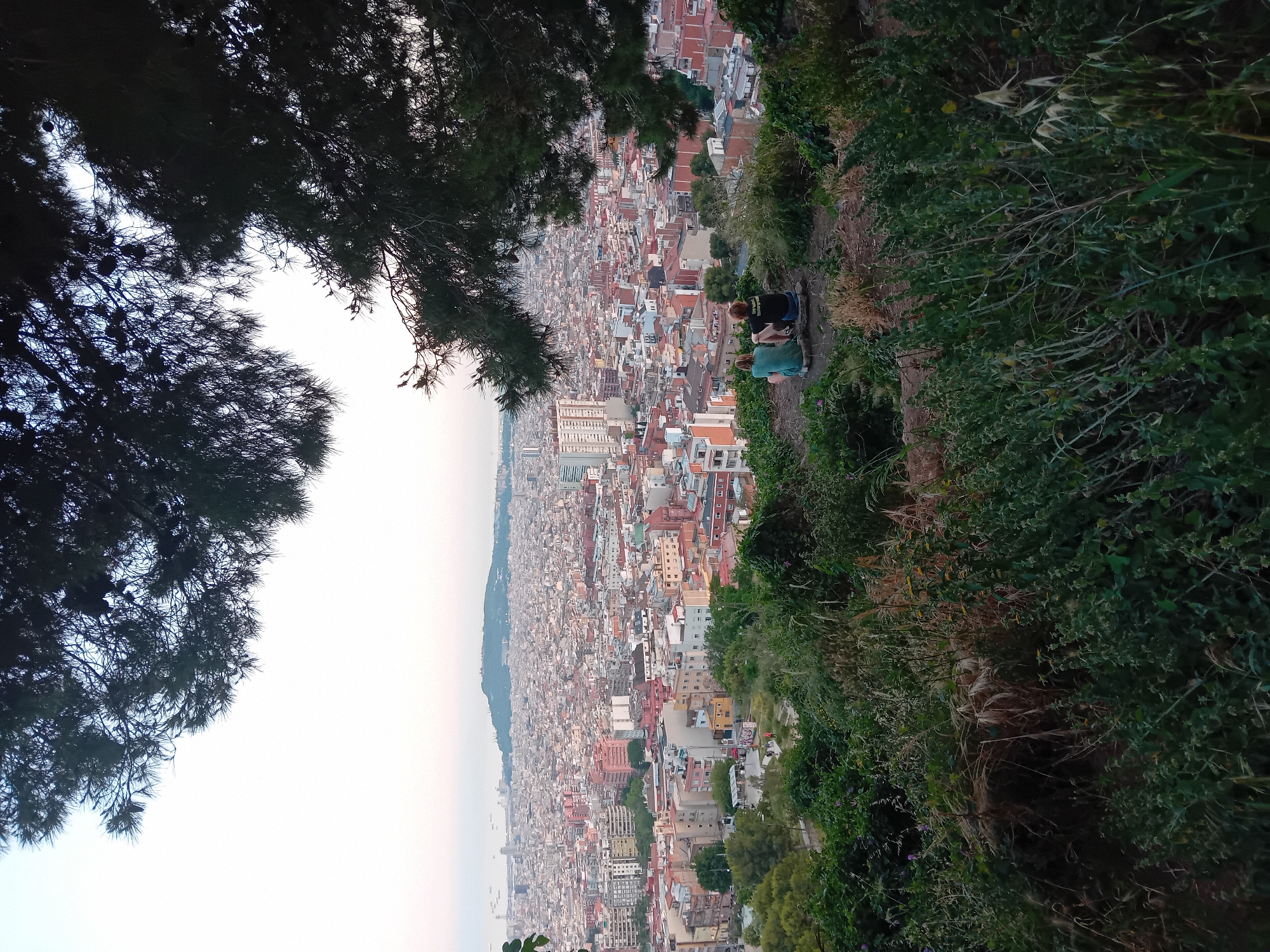 From an elevated vantage point in Barcelona, Spain, a cityscape unfolds. The view is partially framed by dark green pine trees on the left and lush vegetation on the right. In the middle ground, a dense urban landscape of buildings is visible, extending toward the horizon and the sea. Two people are sitting on the edge of the path overlooking the city. One person is wearing a black shirt and the other is covered with a light turquoise blanket.