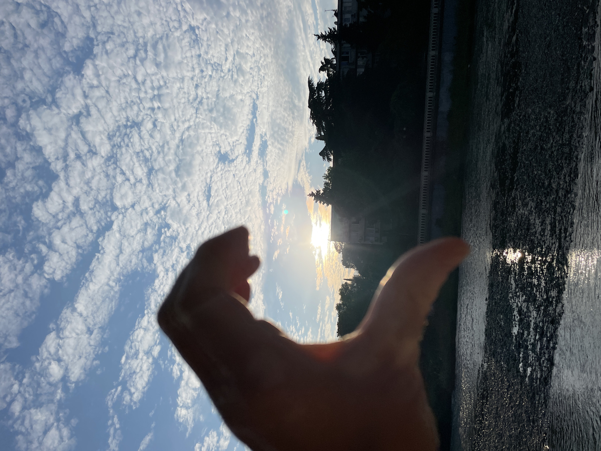 A close-up shot features a person's hand, silhouetted against a bright sky filled with wispy clouds. The hand is positioned in the foreground, with its fingers curled, as if holding or framing something. The sun is visible in the distance, casting a warm glow and creating a lens flare effect. Beyond the hand and the sky, a dark silhouette of trees and buildings can be seen. To the right of the frame, a body of water, possibly a river or a canal, reflects the sunlight. The water's surface is textured, with ripples and possibly some debris. The overall impression is of a serene moment captured at sunset or sunrise. The orientation of the image suggests it was taken in portrait mode. The time of day appears to be late afternoon or early evening, given the low angle of the sun and the warm, golden light. The weather seems clear, with the prominent clouds adding visual interest to the sky. No text is visible in the image.