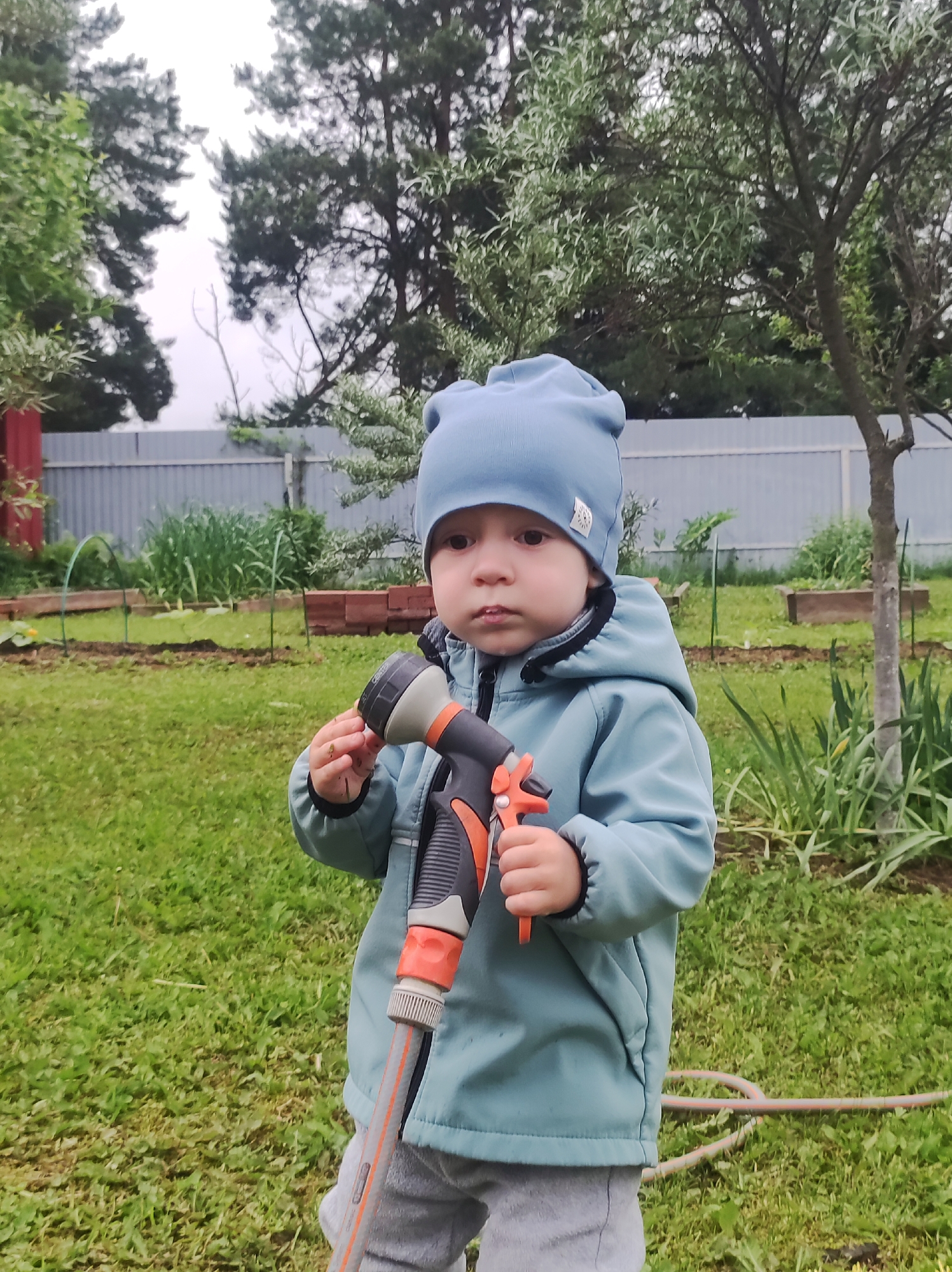 The image, taken in Фоки, Russia, shows a toddler-aged individual standing centrally in an outdoor garden on an overcast day. The child wears a light blue beanie with a small white emblem, a light blue/teal zip-up jacket with black collar trim, and grey pants. The child holds a black and orange garden hose nozzle in their right hand, attached to a grey hose that extends out of view downwards. The left hand displays traces of dirt or mud on the fingers. The immediate ground consists of green grass. Behind the child, a cultivated garden area is visible, featuring several rows of green plants and raised garden beds with wooden or brick borders. A grey corrugated metal fence runs horizontally across the mid-background. Beyond the fence, various trees are present, including dense green foliage and taller, darker trees on the left. The sky is uniformly light grey.