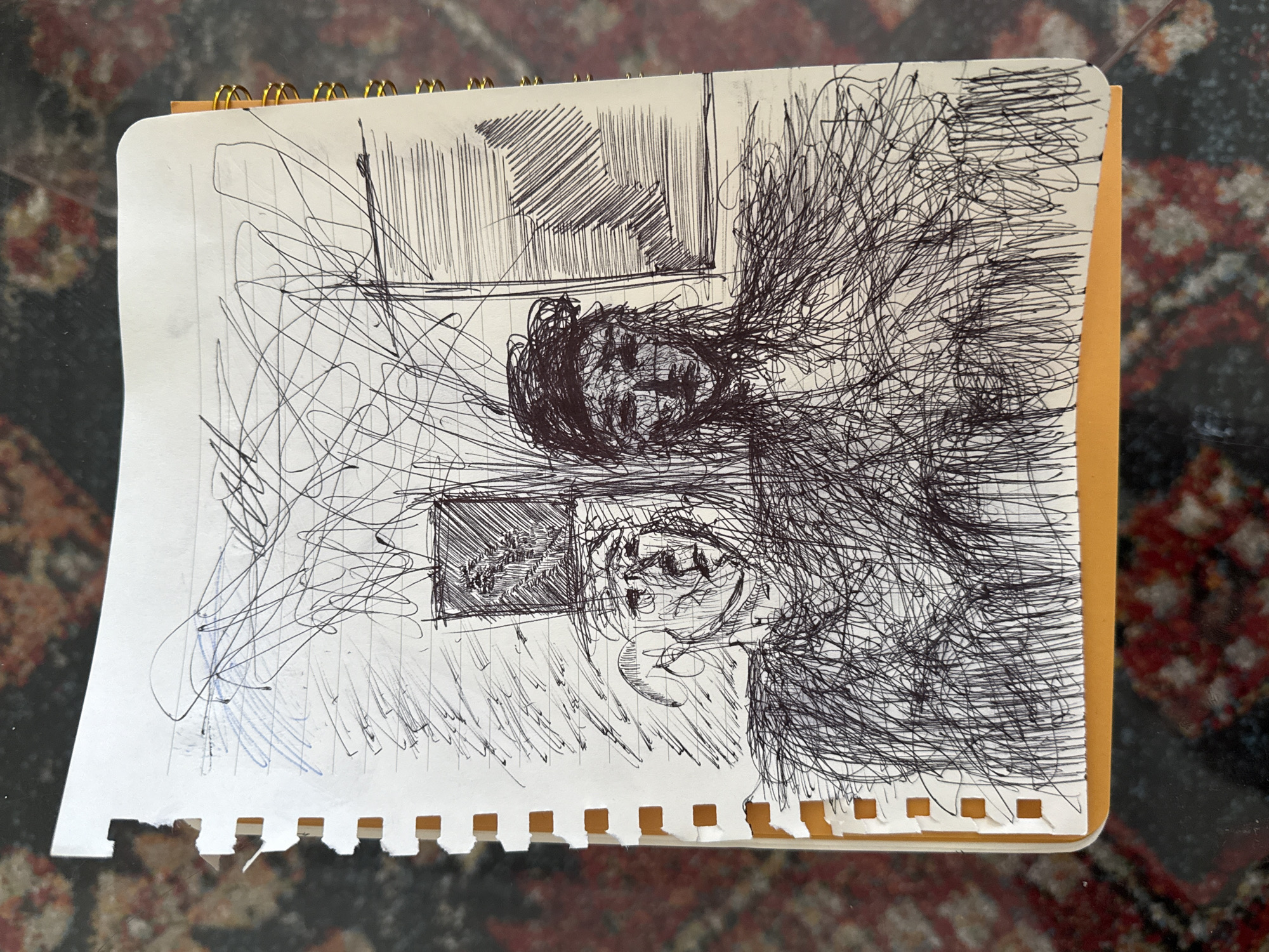 A sketch in a notepad depicts two possible faces, one above the other, surrounded by dense, scribbled lines that suggest a chaotic environment or perhaps an explosion of emotion. Above the top face, a shaded rectangular area is drawn, possibly representing a window or a framed picture. The rest of the page is filled with random lines, adding to the sense of disorder. The notepad is placed on a patterned surface that looks like a rug or a table cover. There is no evidence to suggest a location in New York City.
