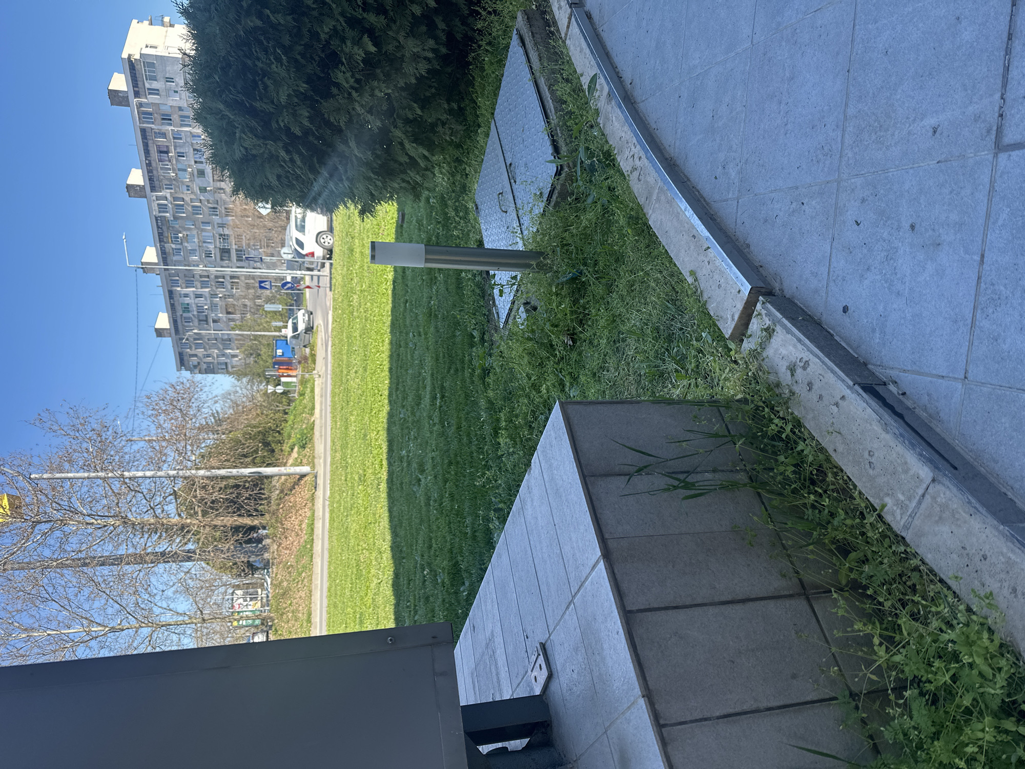 The image depicts an outdoor scene in an urban environment, possibly in the city of Unknown, Unknown. A building with numerous windows can be seen in the background under a clear blue sky. A tall evergreen tree is visible to the right of the building. A strip of green lawn is present, bordering a road with light-colored vehicles. In the foreground, a gray tiled walkway or patio is partially visible, with weeds growing in the gaps. A metallic-edged curb runs along one side of the walkway. A gray, box-like structure obscures the lower left portion of the image. A metal pole stands upright in the grass.