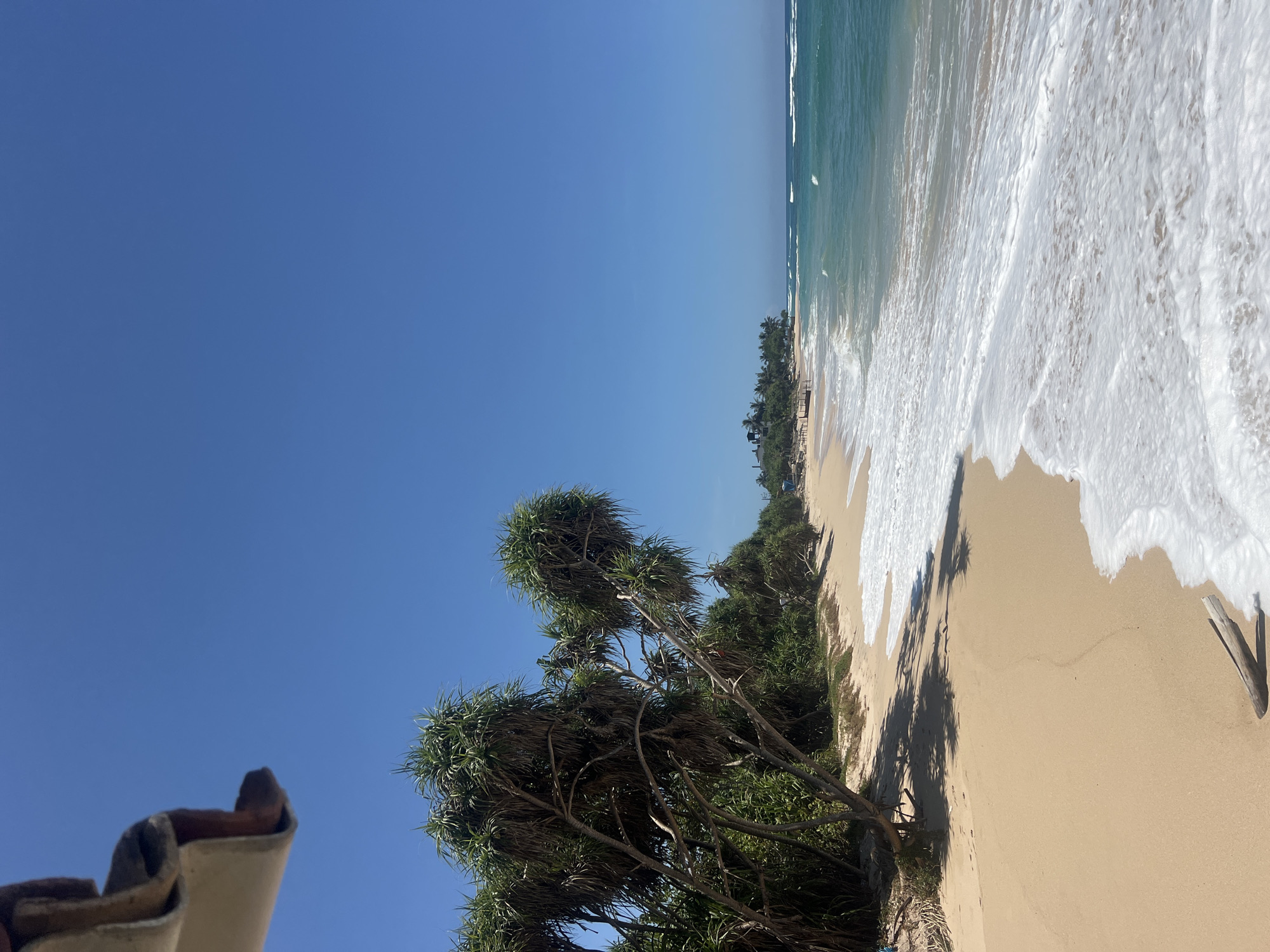 This image captures a bright, sunny coastal landscape, characteristic of a tropical beach like Kathaluwa, Sri Lanka. The scene is dominated by a vast, clear blue sky. Below, a line of lush green coastal trees, possibly Pandanus with their distinctive growth patterns, thrives along the edge of a wide, golden sandy beach.
To the right, the ocean displays clear turquoise waters, with white foamy waves gently rolling onto the shore and receding, leaving intricate patterns on the wet sand. Long, dark shadows cast by the trees stretch across the beach, indicating strong, direct sunlight, likely from midday or early afternoon. A small, partial view of what appears to be a rustic roof or awning is visible in the bottom left corner, suggesting nearby shelter or a structure. In the distance along the coastline, more trees and faint outlines of structures can be observed. There are no people visible, and no text is present in the image. The overall impression is one of serene natural beauty and a calm, clear day at a tropical beach.