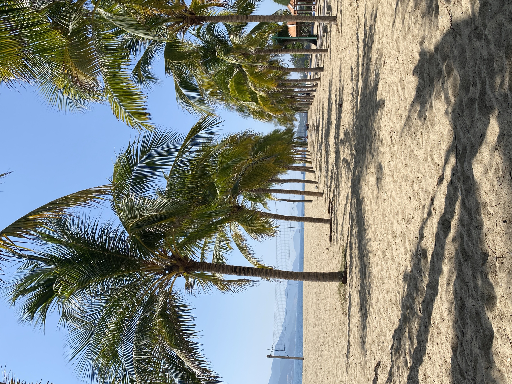 The image depicts a scenic beach in Nha Trang, Vietnam, under a clear blue sky. A pathway lined with numerous palm trees stretches into the distance, casting long shadows across the sandy ground. To the left, a volleyball net is set up on the beach, with the ocean visible beyond it, and a mountainous landscape forming the horizon. A small pavilion or shelter is visible on the right side of the image. The sand appears undisturbed, with only a few scattered pieces of debris. The overall impression is one of a tranquil, tropical beach scene.