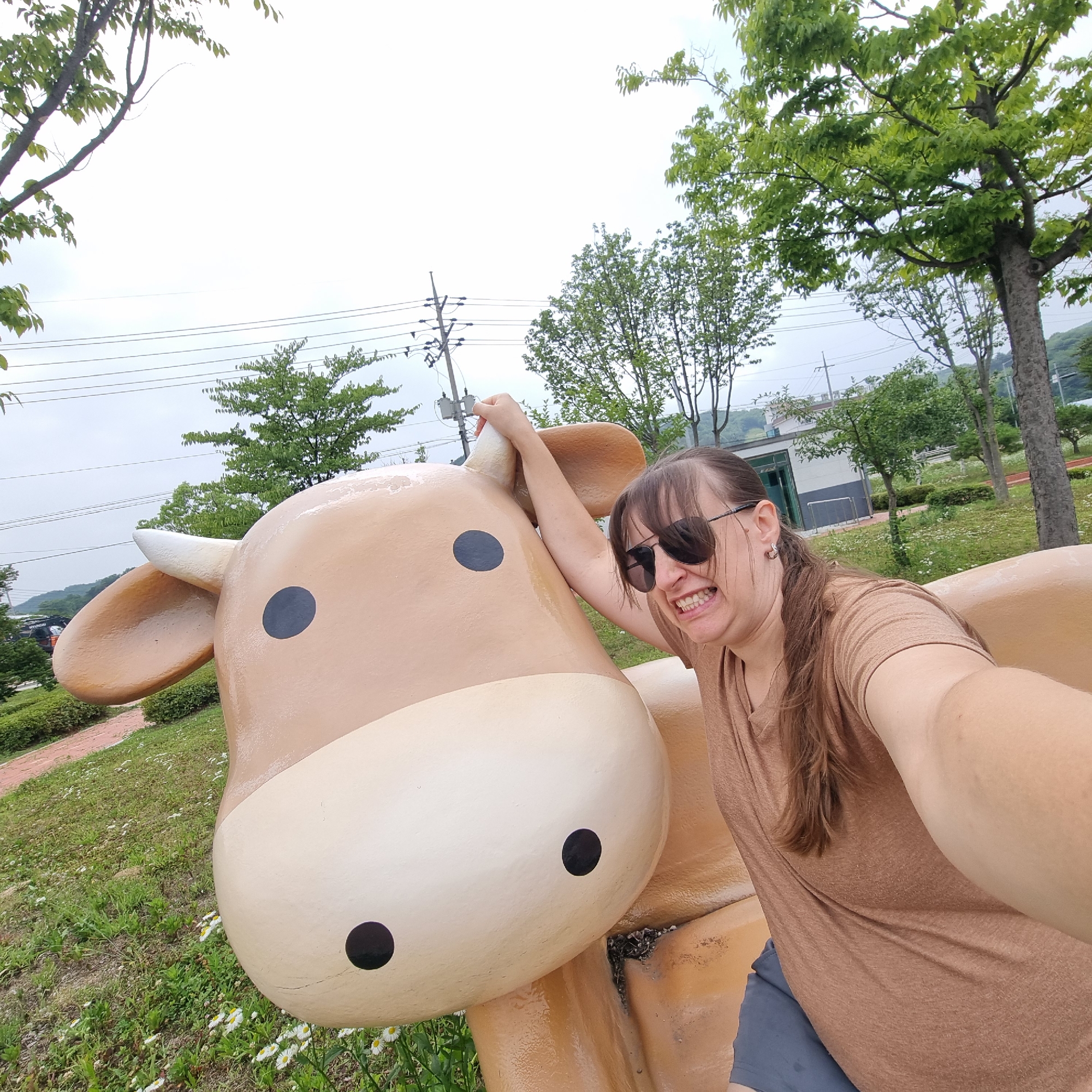 A woman wearing sunglasses and a brown t-shirt is taking a selfie with a large, light brown cow statue in Dunnae-myeon, South Korea. The woman is smiling with her teeth showing and her right arm is raised, touching the top of the cow's head. She is positioned on the right side of the image, leaning slightly towards the cow. The cow statue is large and cartoon-like, with a light tan face and ears, and two black circular eyes. The background shows a grassy area with scattered white flowers, trees, and a cloudy sky. Electrical wires and a utility pole are visible in the distance, along with a building and part of a road. The lighting suggests it is daytime.