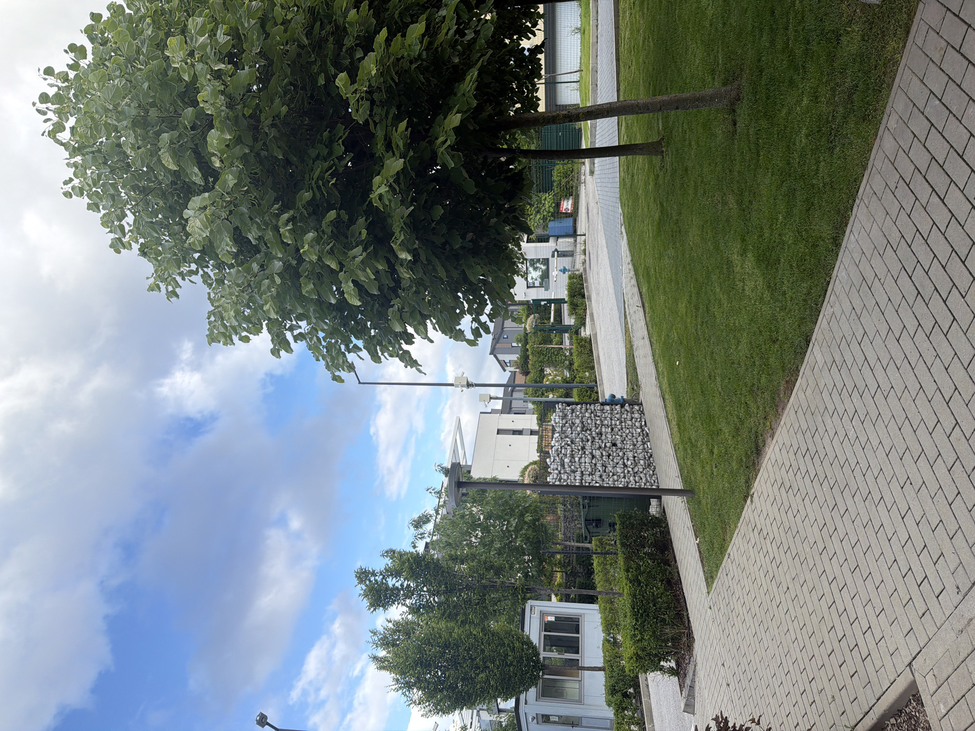 This image captures a well-maintained outdoor environment in Sofia, Bulgaria, on a bright, partly cloudy day. The scene is devoid of people, conveying a sense of quiet and order.
In the foreground, a light-colored paved pathway made of rectangular bricks stretches diagonally across the lower right, bordered by a strip of neatly mown green grass. To the left, a prominent, large tree with abundant green leaves dominates the left side of the frame, its trunk visible before its expansive canopy.
The midground features further landscaped elements, including more stretches of green grass, smaller trees, and manicured hedges. A distinctive gabion wall, constructed from metal mesh filled with light-colored stones, stands near the pathway. Beyond the greenery, modern architecture is visible, including a clean, white building with large windows and flat roofs, characteristic of contemporary design. Several tall, slender poles, some appearing to be streetlights or equipped with security cameras, are spaced throughout the area. A small, white portable cabin with windows is situated amidst the landscaping.
The background shows glimpses of other similar modern buildings under a sky that is a mix of clear blue and soft white clouds. A notable detail is a red "FOR SALE" sign with white text, partially obscured by foliage and a fence, indicating property is available in the vicinity. Text on the portable cabin is not legible. The time of day appears to be late morning or early afternoon, with ample natural light illuminating the scene.