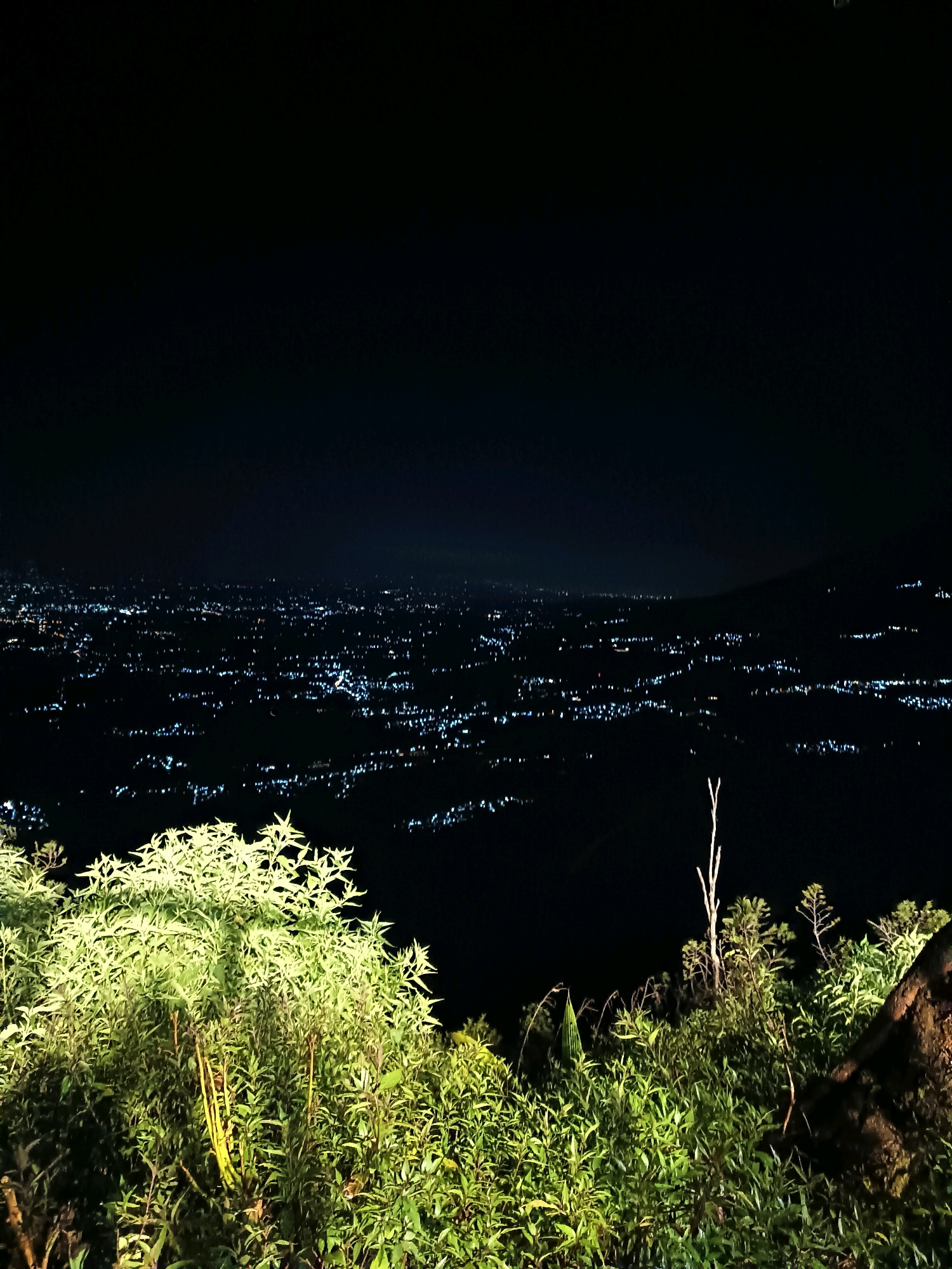 This is a nighttime, eye-level, medium-wide shot of a city skyline from a hillside, likely in or around Keditan, Indonesia. The foreground is dominated by dense, green vegetation, with a large, illuminated plant with pale green leaves prominently featured on the left side of the frame. The middle ground consists of a sprawling city illuminated by countless white lights, stretching across a dark landscape. The lights appear to be arranged in clusters, suggesting buildings and streets. The background is a dark, clear night sky, with a faint haze or light pollution visible on the horizon. The overall impression is one of a vibrant urban area viewed from a natural vantage point at night.