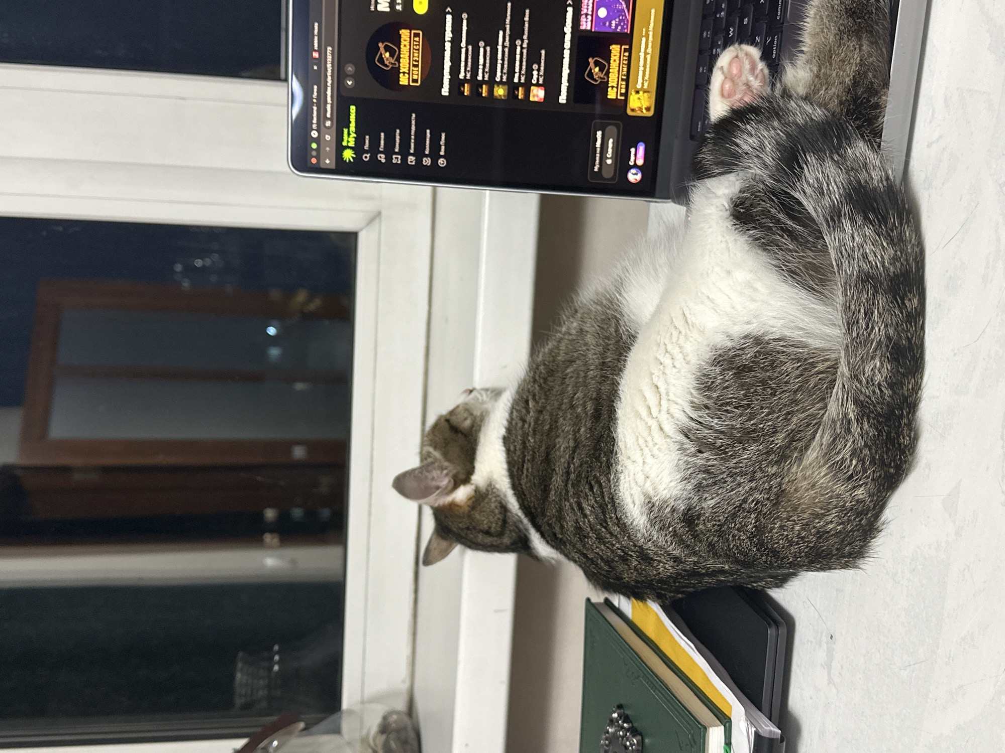 The image shows a gray and white tabby cat sleeping on a laptop keyboard. The laptop screen displays a Russian music service called "Yandex Music", showing the artist MC Khovansky. The laptop is placed on top of a stack of books. The scene appears to be near a window at night. While it's impossible to confirm the location as Krasnoyarsk, Russia from the image alone, the language and the Yandex Music service suggest a Russian location.