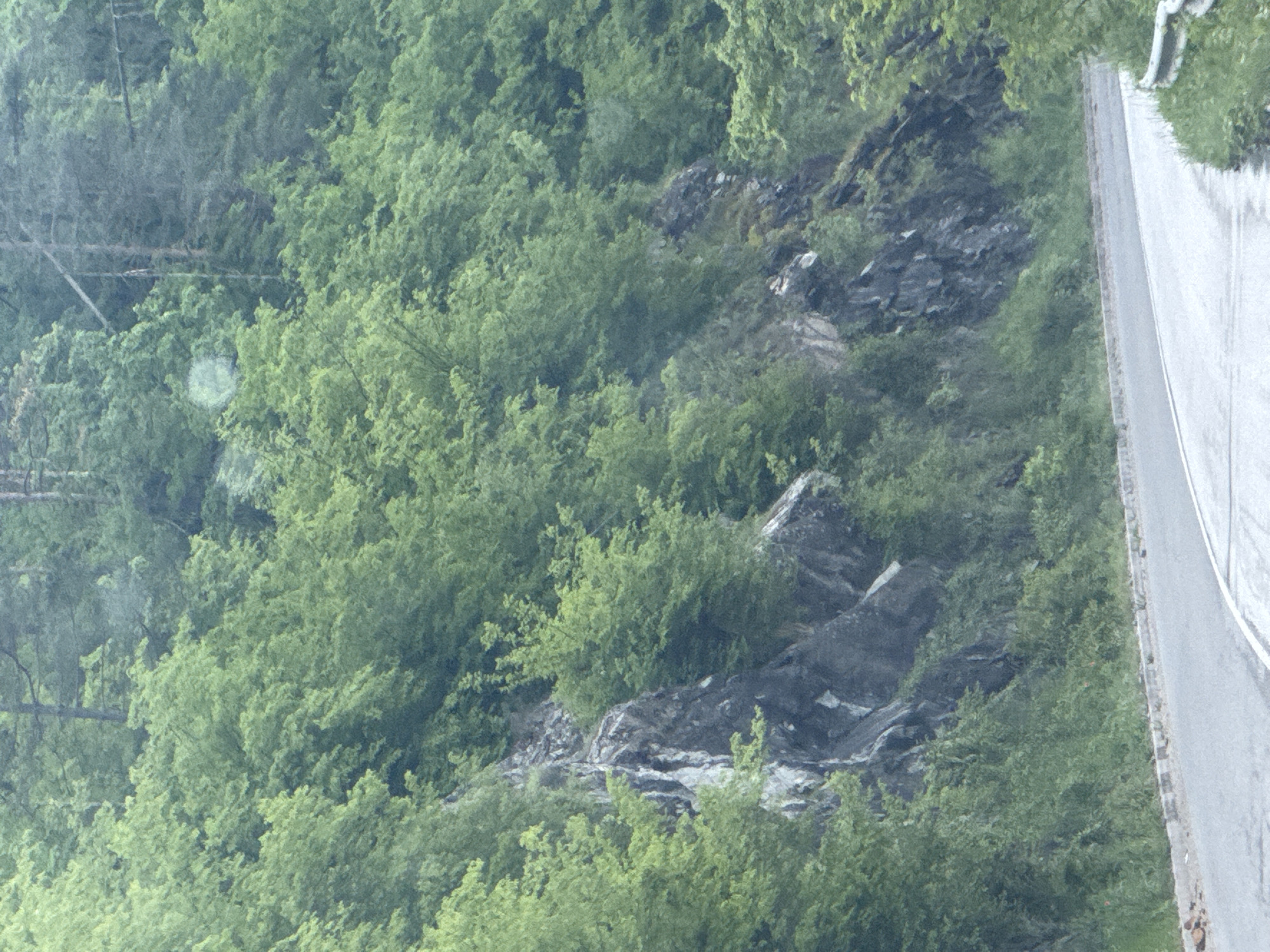 The image shows a dense, green forest on a hillside. A narrow asphalt road runs along the right edge of the frame. The hillside features rocky outcroppings interspersed with the vegetation. The location is not discernible. No people, subjects, objects, actions, or interactions are identifiable beyond the natural environment. The image is static and lacks specific context.