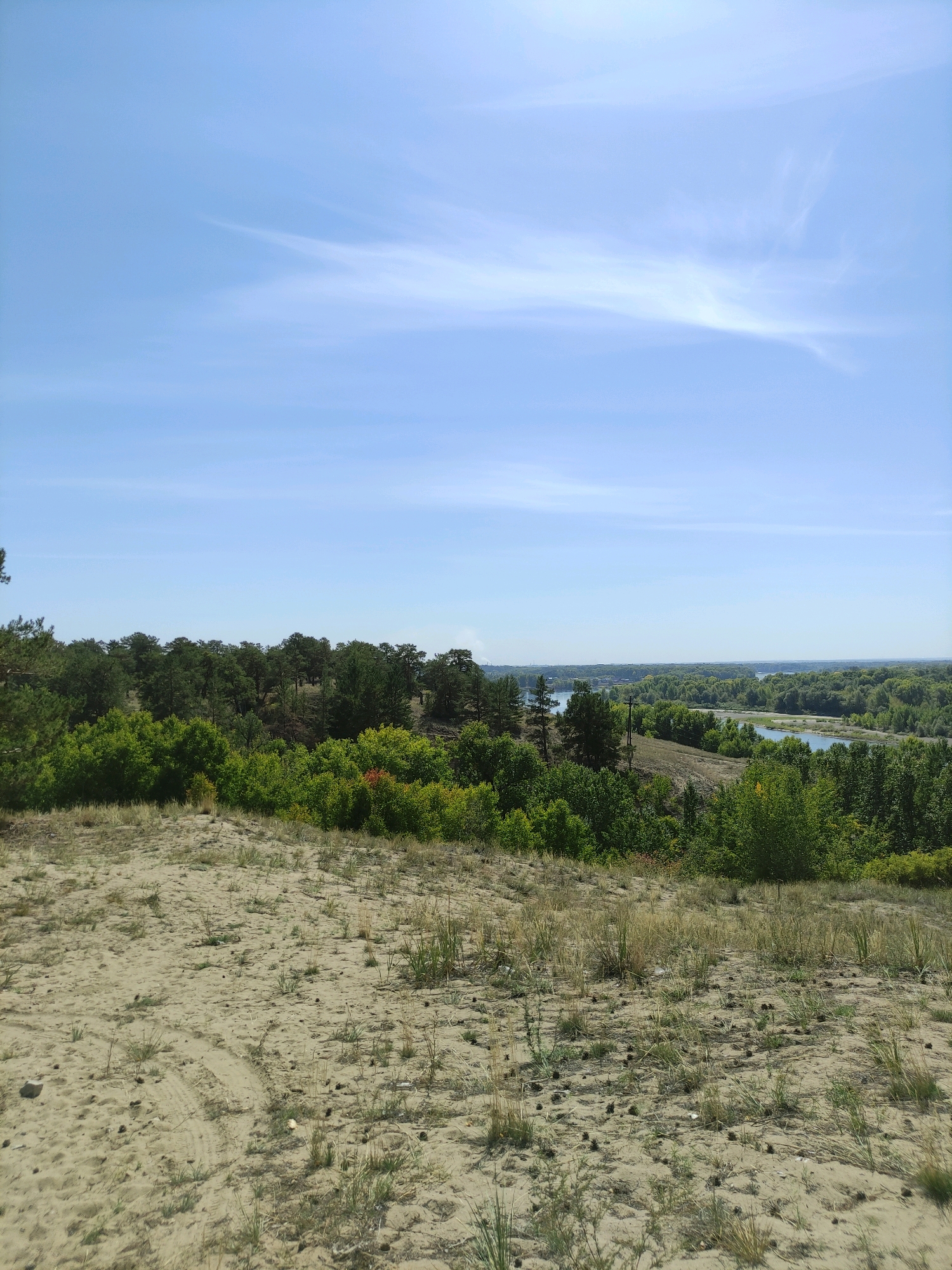 This is a landscape photograph taken from a sandy incline overlooking a vast expanse of green trees and a body of water. The sky is a clear blue with wispy white clouds. In the foreground, the sandy ground is sparsely covered with dry grass and a few pine cones. Behind the sandy slope, a dense forest of trees, primarily coniferous and deciduous, stretches across the middle ground. Beyond the forest, a wide river or lake is visible, reflecting the blue sky and surrounded by more lush greenery. The scene suggests a natural, undeveloped area, likely a park or a rural landscape. The location specified, Глухов ауылдық округі, Kazakhstan, indicates a rural administrative region.