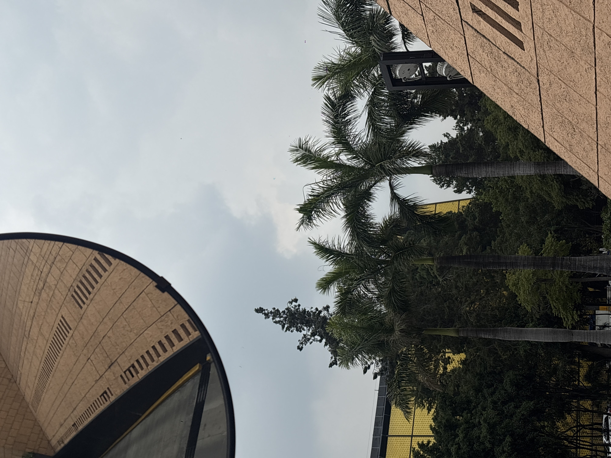 The image shows an outdoor scene in Mexico City, Mexico. In the foreground, a large, curved, reflective surface, likely a convex mirror, shows a reflection of a tan, textured building facade with linear indentations. To the right, the corner of a similarly textured tan structure rises diagonally. Several palm trees are visible in the mid-ground, their fronds extending upwards against a cloudy sky. Behind the palm trees, a building with a distinctive bright yellow facade is partially visible, appearing to be constructed with a textured grid pattern. Further back, a variety of green trees form a dense backdrop. The overall lighting suggests an overcast day. There are no people or animals clearly visible in the frame.