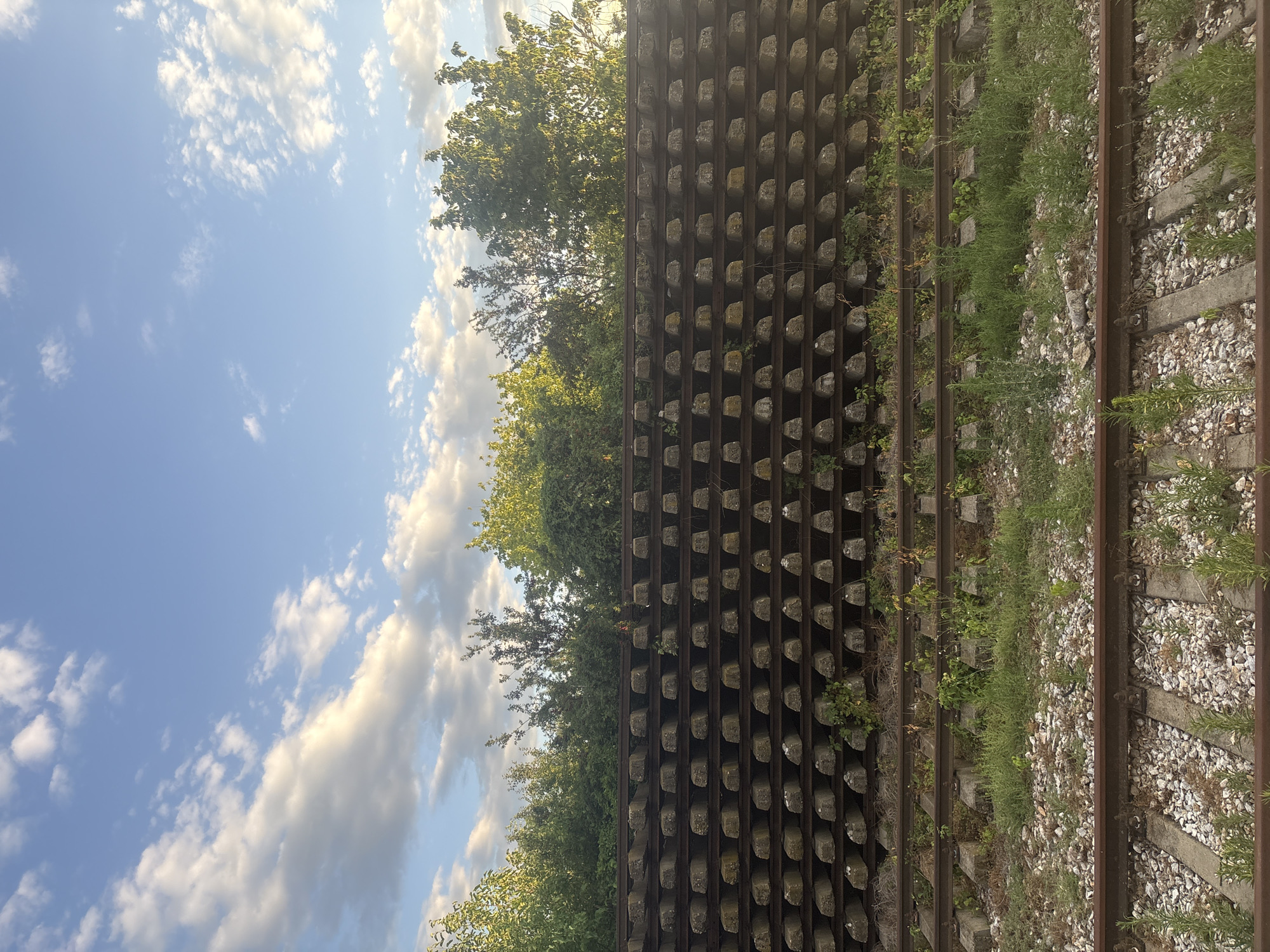 This is an eye-level, medium shot of a section of railroad tracks in Saedinenie, Bulgaria. The image is dominated by a large wall of stacked concrete railway ties, forming a retaining wall for vegetation and trees. The wall of ties is several rows high and extends horizontally across the frame. Above the wall of ties, lush green trees and foliage are visible, bathed in the warm light of what appears to be late afternoon or early evening. The sky above is a clear blue with scattered white clouds, some of which are illuminated by the sun. In the foreground, two sets of railroad tracks are visible, with ballast and some weeds growing between and around them. The scene suggests an area of infrastructure, likely on the outskirts of the town, where nature is beginning to reclaim parts of the industrial landscape. There are no people or animals present in the image.
