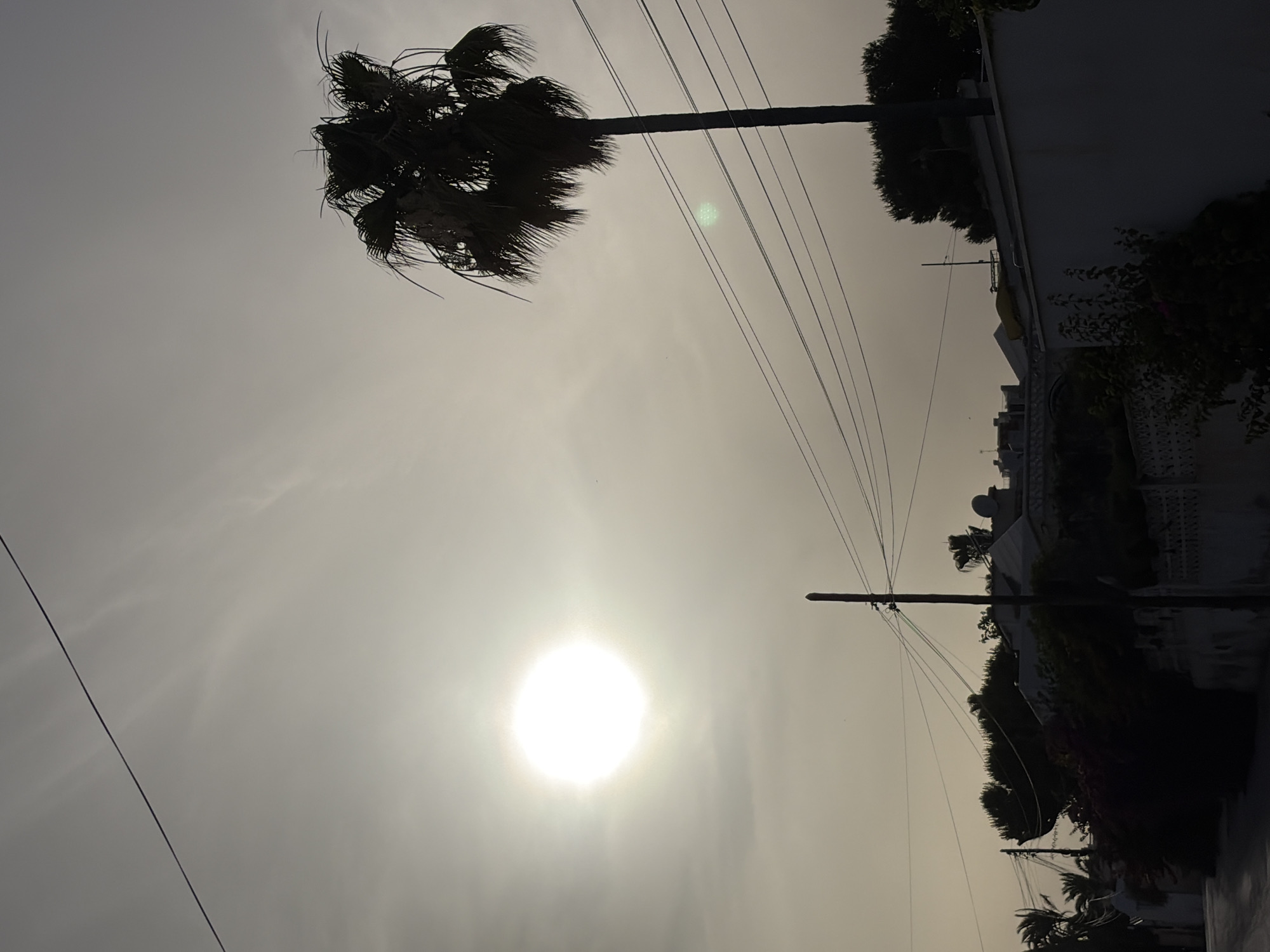 The image captures a street scene in Torrevieja, Spain, under a bright, hazy sky. A large, intensely bright sun is visible on the left side of the frame, appearing as a luminous circle. To the right of the sun, a tall palm tree stands silhouetted against the sky, its fronds appearing dark and bushy. Multiple power lines stretch across the sky, intersecting the view of the palm tree and the horizon. In the background, the tops of houses and trees are visible, mostly in shadow, suggesting a late afternoon or early morning light. The foreground shows a street, and on the right side, the top of a white wall with some vegetation and a lamppost. The overall atmosphere is one of a sunny, possibly warm day, with the sun's glare being a dominant element.