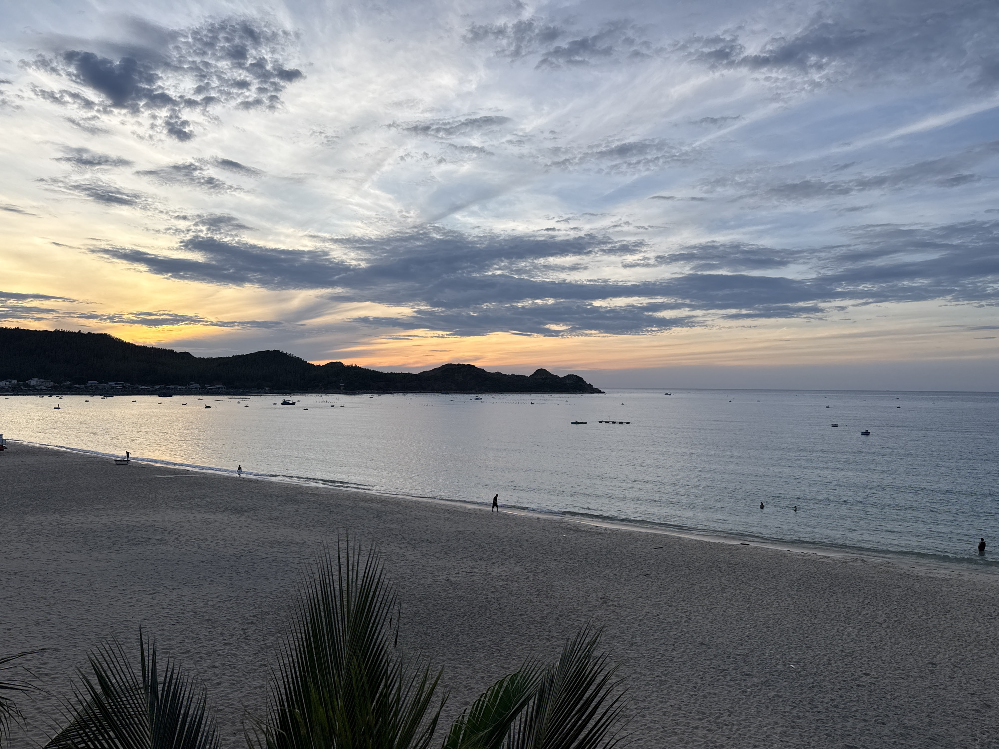 This image depicts a beach scene in the city of Song Cau, Vietnam, during sunset or sunrise. The sky is filled with a dramatic display of clouds, ranging from dark grey to light blue, with streaks of warm yellow and orange near the horizon. The sun, low in the sky, casts a soft glow on the water and the distant, dark, tree-covered hills that form the coastline. The sea is calm, with a gentle surf lapping at the sandy shore. Several small boats are scattered across the water.
On the sandy beach, a few individuals are visible. In the foreground, a person is walking along the shoreline. Further down the beach, another person stands by the water's edge. Two individuals appear to be swimming or wading in the shallow water, and a single person is standing further out in the sea. In the middle ground, a small boat is being pulled ashore by one person, with another person nearby. The sand is light grey and appears smooth, with some faint tire tracks visible. In the very foreground, the fronds of a palm tree are partially obscuring the view, adding a tropical element to the scene. The overall impression is one of tranquility and natural beauty.