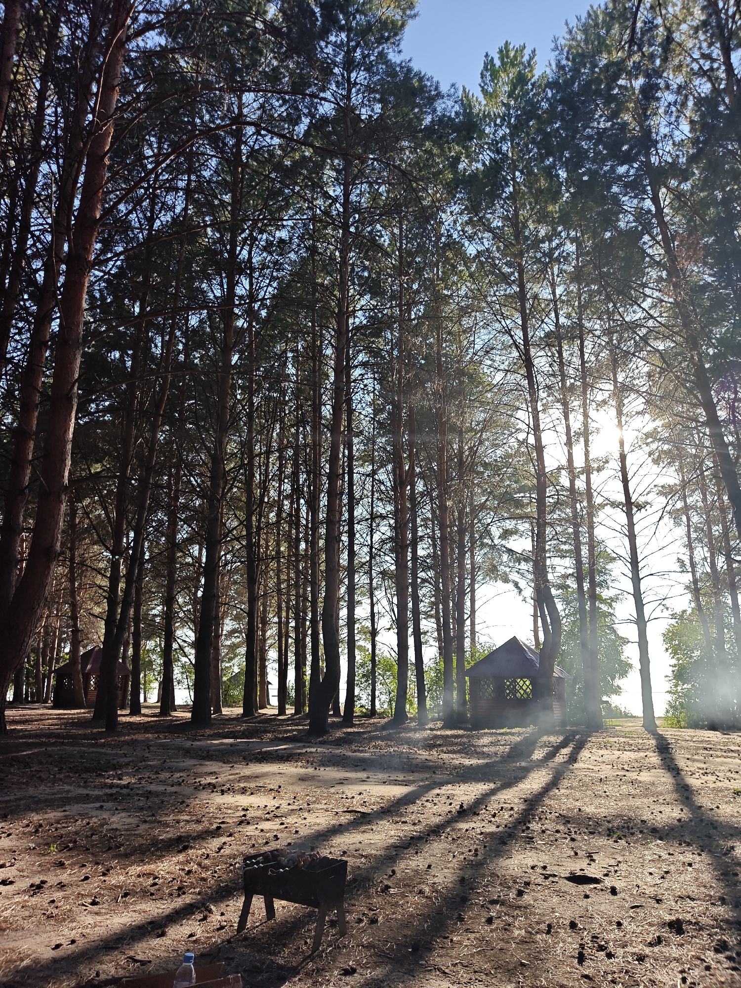 The image depicts a sunlit forest clearing with tall pine trees. The ground is covered in sand and pinecones. In the foreground, a metal barbecue grill with skewers of meat is visible, with smoke rising from it. A plastic bottle of water sits next to the grill. Further back, a small wooden gazebo with a thatched roof is situated amongst the trees. The sun is shining brightly through the trees, casting long shadows on the ground. The overall scene suggests an outdoor recreational area in the countryside, possibly a campsite or picnic spot, within the Корнеев ауылдық округі, Kazakhstan.