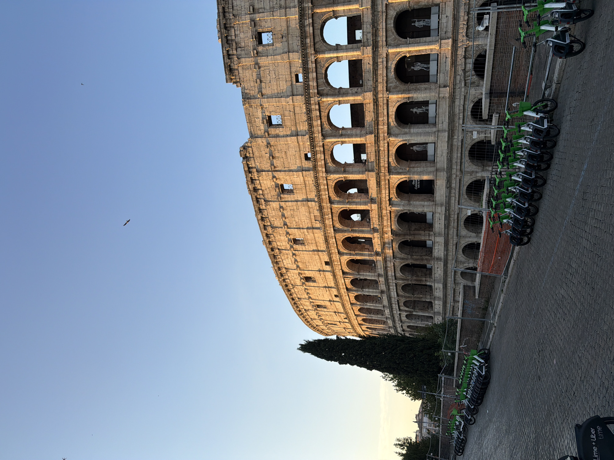 The image depicts the Colosseum in Rome, Italy, bathed in the warm light of either sunrise or sunset. In the foreground, a row of green electric scooters are parked on a cobblestone street. Behind the scooters, a tall, dark cypress tree stands beside the ancient amphitheater, which features multiple levels of arched openings. The sky is clear and pale blue, with a few distant birds visible. Construction fencing lines the area around the Colosseum.