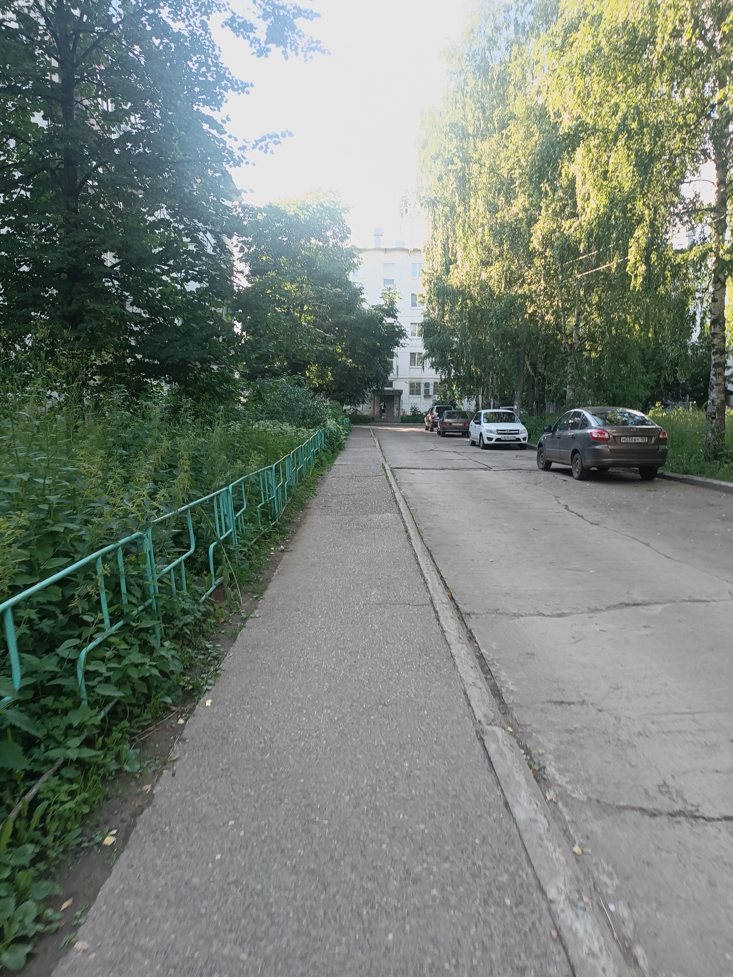 This media file depicts an outdoor scene with a paved walkway and a road lined with parked cars. A green metal fence runs alongside the walkway, separating it from overgrown greenery. Tall trees, including what appear to be birch trees with their distinctive bark, are prominent in the background, casting dappled shade. A multi-story building, likely an apartment complex, is visible behind the trees on the left.
Several cars are parked on the road, including a dark sedan with a license plate that reads "M036BV 103" and a white sedan with a license plate that is partially visible. The sun is shining brightly, indicating it is likely daytime, and the light filtering through the leaves suggests a warm day. The overall atmosphere is peaceful and residential. The setting appears to be a typical urban or suburban environment in Russia, consistent with the provided location context of Chaikovsky. There are no people prominently featured in the scene, though a figure can be faintly seen near the building entrance on the far left.