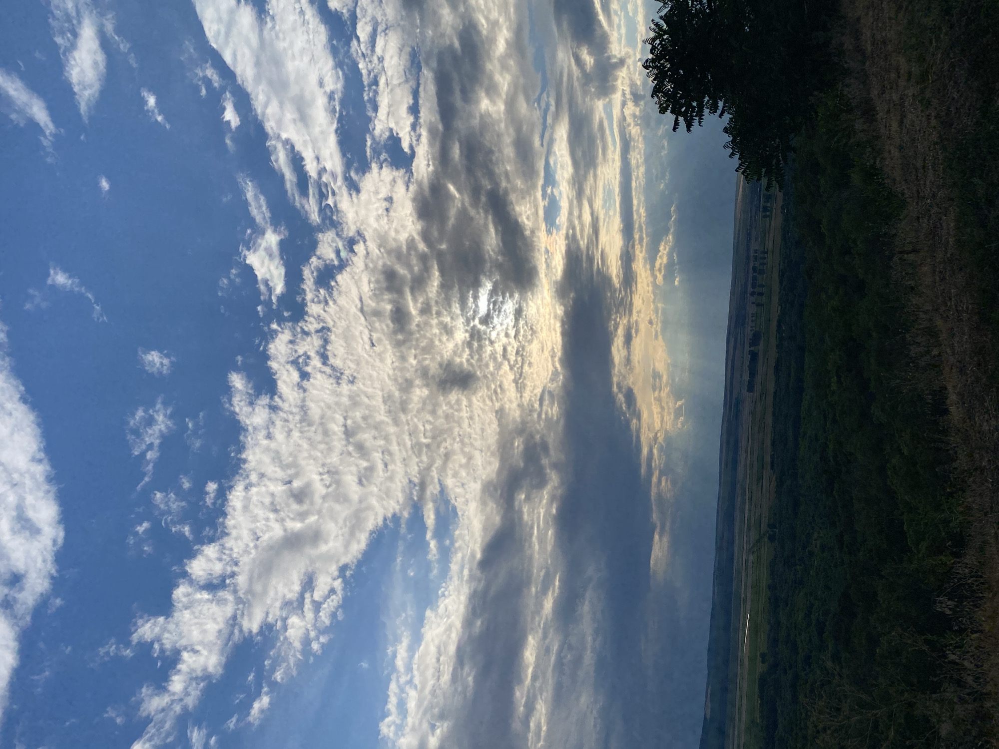 The image captures a panoramic view of the landscape in Horești, Moldova, under a dramatic sky. The upper half of the frame is dominated by a vast expanse of clouds, with patches of blue sky visible. Sunlight filters through the clouds, creating rays that descend towards the horizon. The lower half of the image shows a verdant valley, densely covered with dark green trees. In the distance, the landscape is flatter, with fields and perhaps a distant village or scattered houses. A silhouetted tree stands prominently on the right side of the foreground, adding depth to the scene. The overall impression is one of natural beauty and a somewhat moody, atmospheric day.