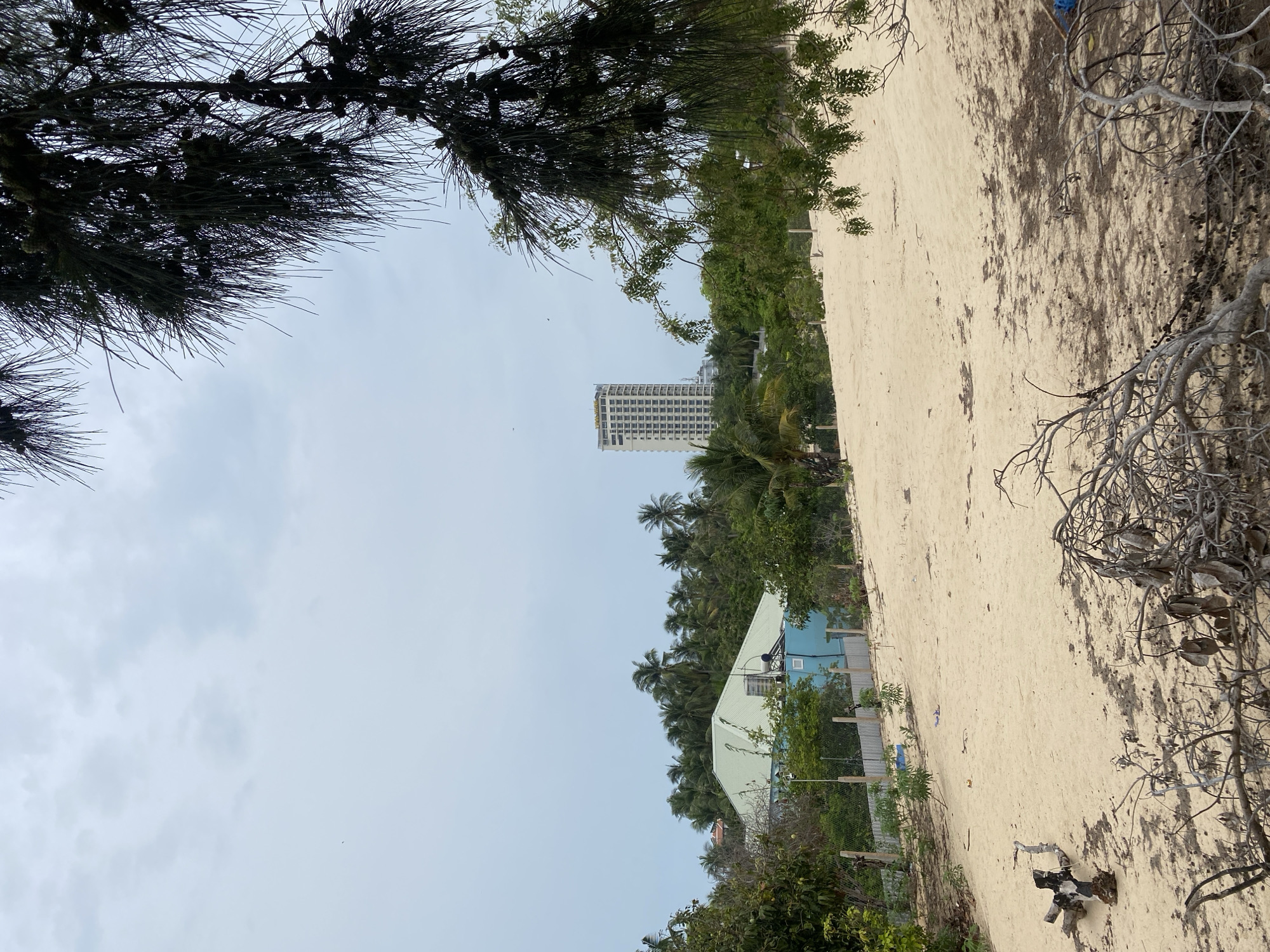 View of Mũi Né beach, Vietnam. Sandy beach with vegetation encroaching on the edges. A tall building is visible in the distance. A blue and white building is situated among the trees. A tall tree with dense foliage frames the upper left of the image, while dry branches appear on the right side. Overcast sky.