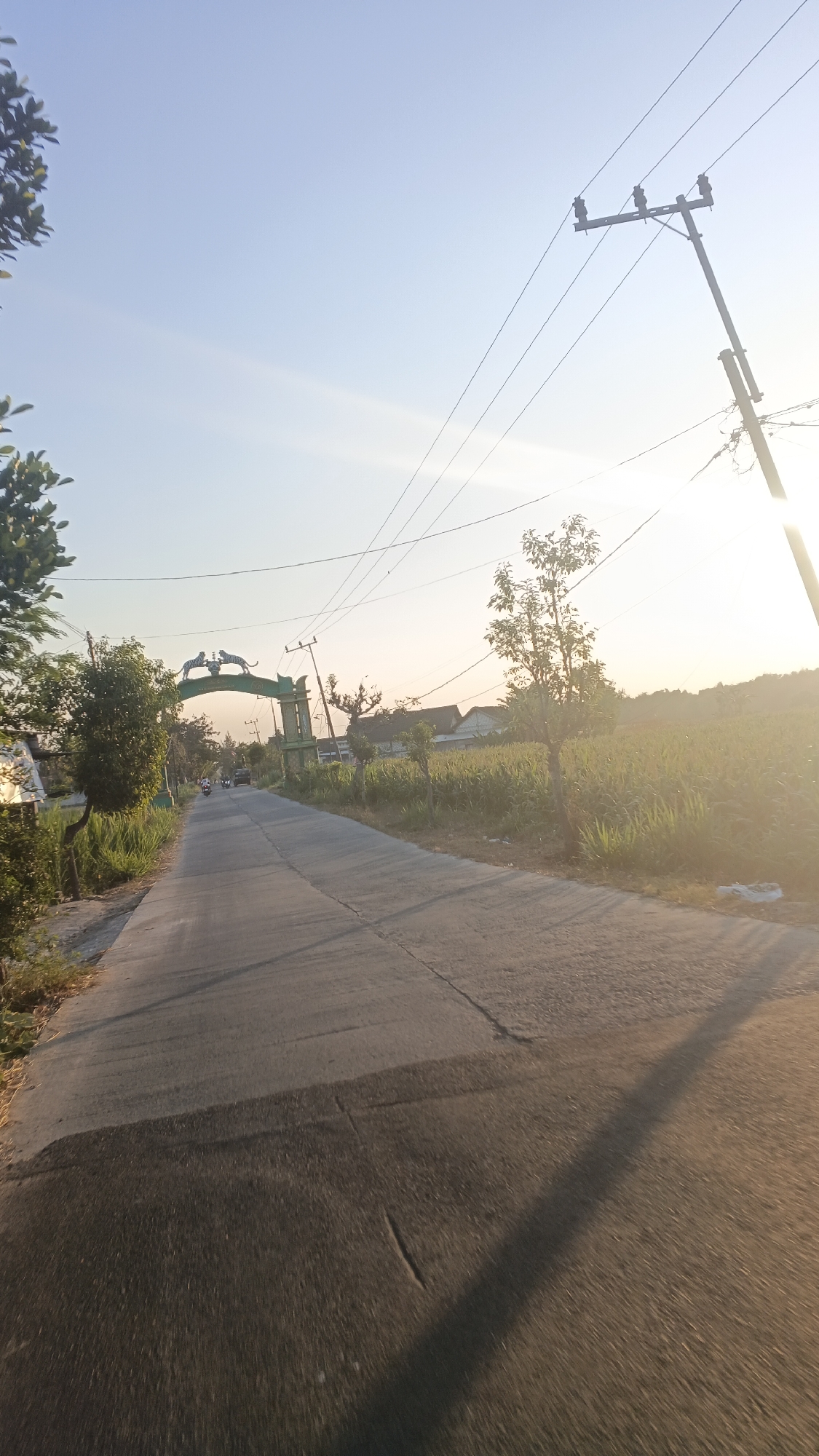The image shows a paved road in Soko, Indonesia, with a green archway decorated with two tiger statues spanning across the road in the distance. The sun is low in the sky, casting long shadows and creating a warm, golden light. The sky is clear and blue with a few wispy clouds. To the right of the road, there is a field of corn stalks and a young tree. To the left, there are more trees and vegetation. A utility pole with power lines runs along the right side of the road, with the sun partially obscuring it. Several vehicles, including a motorcycle and a car, are visible on the road approaching the archway. The overall scene depicts a rural or semi-rural setting in Indonesia during either sunrise or sunset.