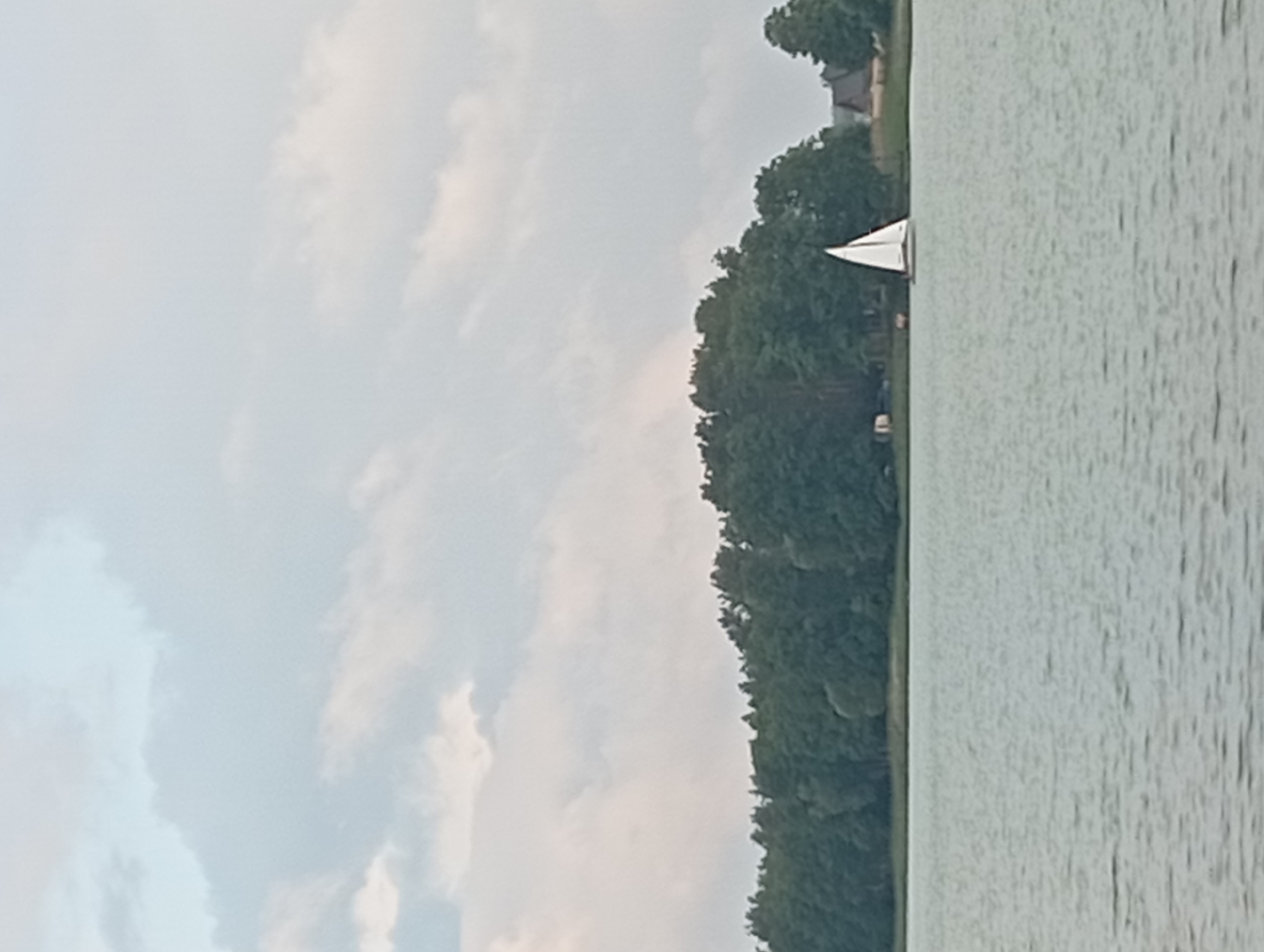A lone white sailboat with a triangular sail navigates a calm, greenish-gray body of water. In the background, a dense line of dark green trees borders the water, forming a lush tree line. On the right side of the tree line, two rustic-looking buildings with dark roofs are visible, suggesting a settlement. The sky above is overcast with soft, white clouds that diffuse the light, creating a muted, atmospheric effect. The scene appears to be a serene landscape in Mołowiste, Poland, with the sailboat as the focal point on the water.