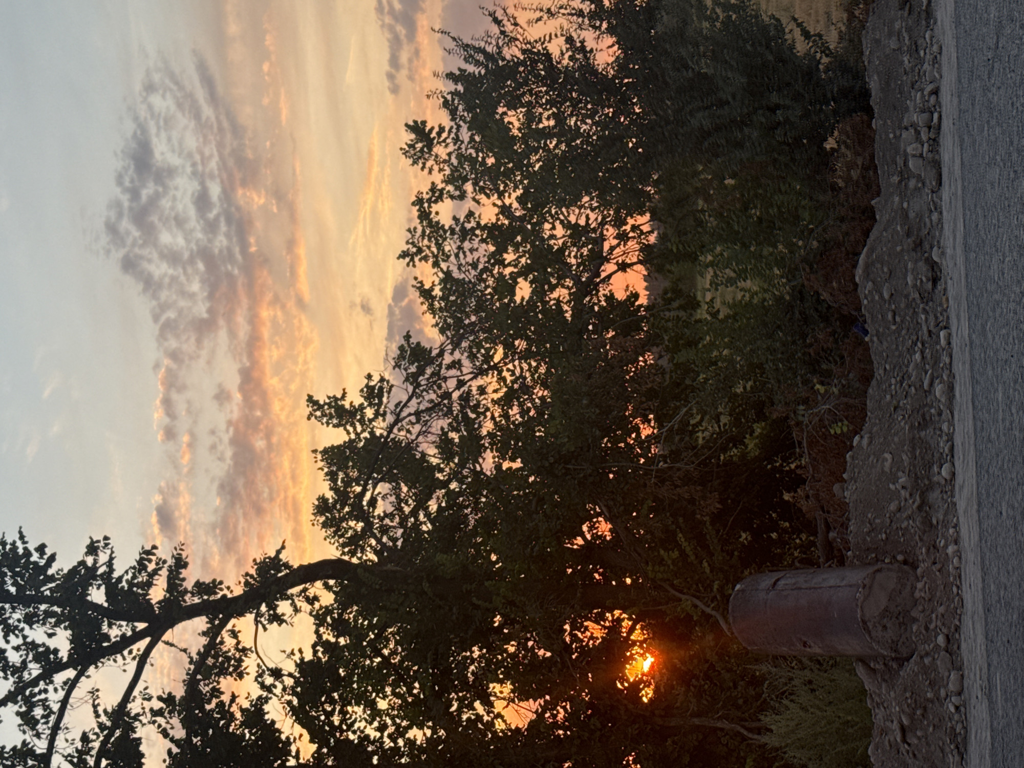 The image shows a sunset scene with a tree silhouetted against a sky filled with orange, pink, and blue clouds. In the foreground, there is a pile of dirt and rocks, with a cylindrical object standing upright within the pile. The background consists of more trees and a field of dried grass. The sun is visible through the branches of the tree, casting a warm glow on the scene. The location is the city of Drujba, Kyrgyzstan.