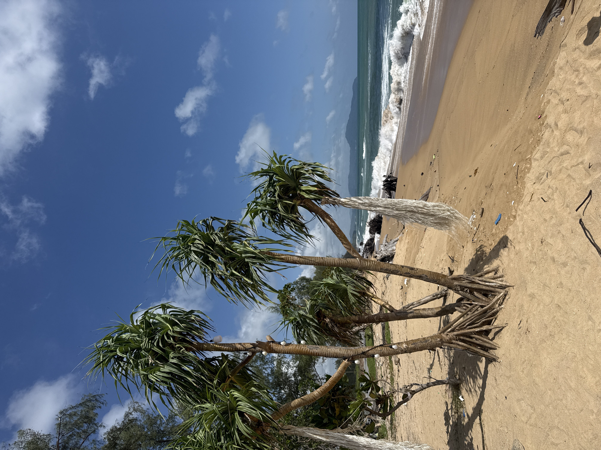 The image depicts a sandy beach with lush green foliage, including pandanus trees with exposed root systems and broad, spiky leaves. The trees are adorned with string lights, with several bulbs visible. The ocean is a vibrant turquoise, with breaking waves creating a foamy white surf along the shoreline. The sand is light brown and appears dry, with some scattered debris including driftwood, netting, and small pieces of plastic. In the background, a distant hazy landmass is visible on the horizon under a bright blue sky dotted with white clouds. The scene is set in a natural coastal environment.