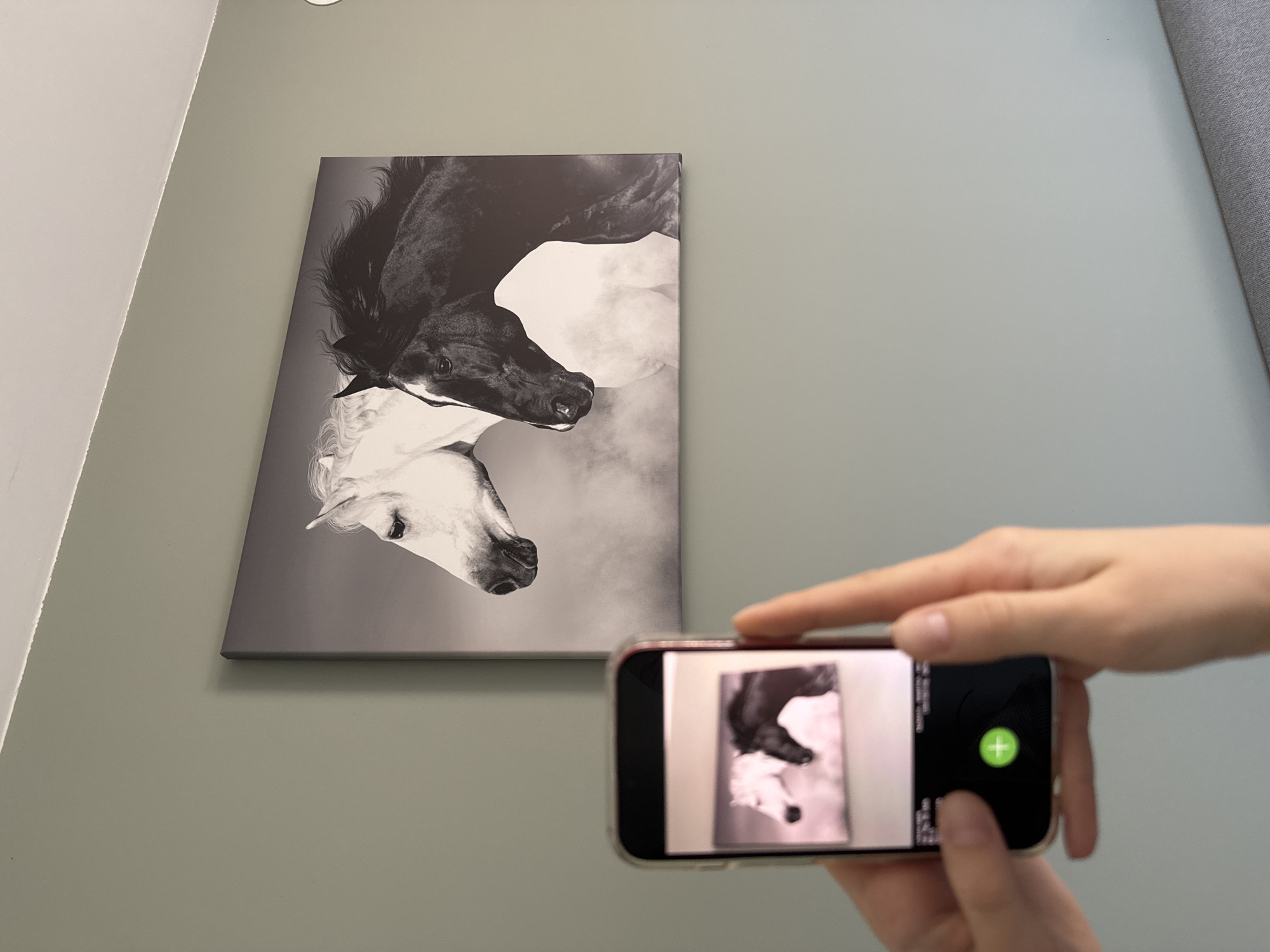 A person is holding a smartphone in landscape orientation, taking a picture of a black and white canvas art print depicting two horses facing each other. The horse at the top of the image is black, and the horse at the bottom is white. The art print is mounted on a pale greenish-grey wall. The smartphone screen displays the horses in a smaller, blurred image. A large green circular button with a "+" sign is visible on the right side of the phone screen. The image is taken indoors. The location is not discernible from the image.