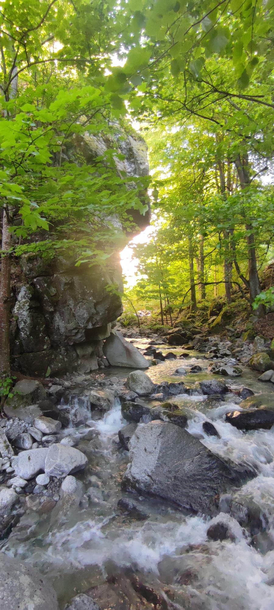 The image depicts a forested stream in Kostenets, Bulgaria. The foreground features a rocky streambed with clear, flowing water cascading over and around numerous gray rocks. The stream fills the lower half of the frame. The left side of the image is dominated by a large, gray rock formation with green foliage growing on and around it. Sunlight filters through the leaves, creating bright patches. On the right, trees with green leaves line the stream, partially obscuring the view further upstream. The sun is positioned directly ahead, providing a bright glow through the trees and illuminating the stream.