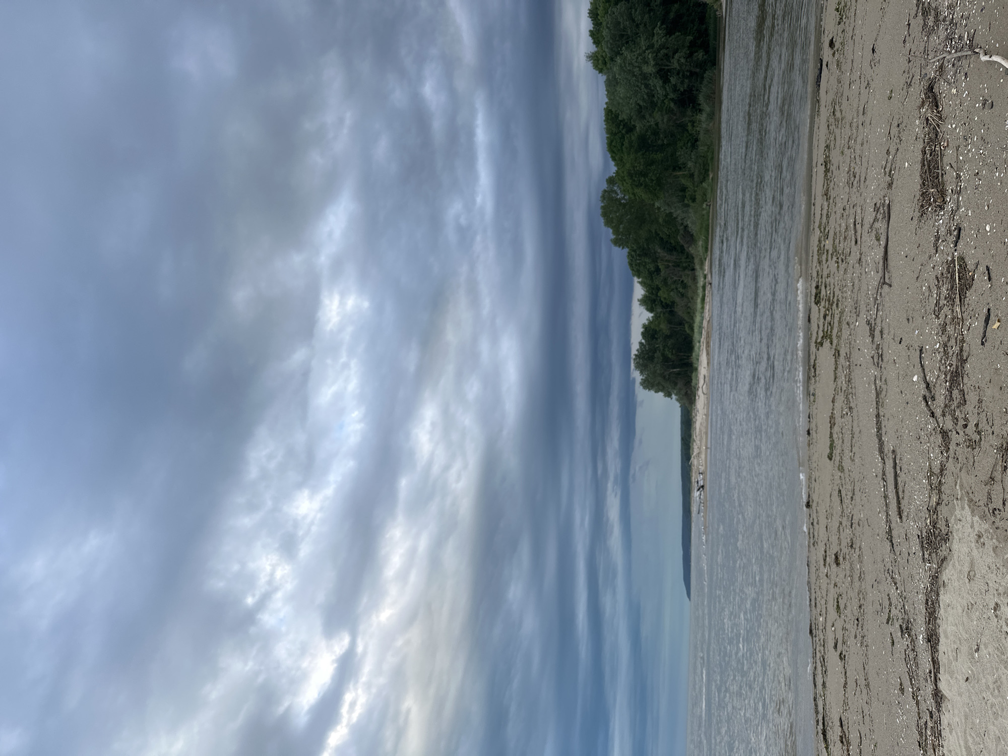 The image depicts a beach scene in Bliznatsi, Bulgaria. The view is oriented vertically, with a wide expanse of cloudy sky covering the majority of the frame. Below, a strip of green trees lines the shoreline. A body of water borders the trees and the sandy beach on the right. The beach is composed of light-colored sand interspersed with small shells, twigs, and seaweed.