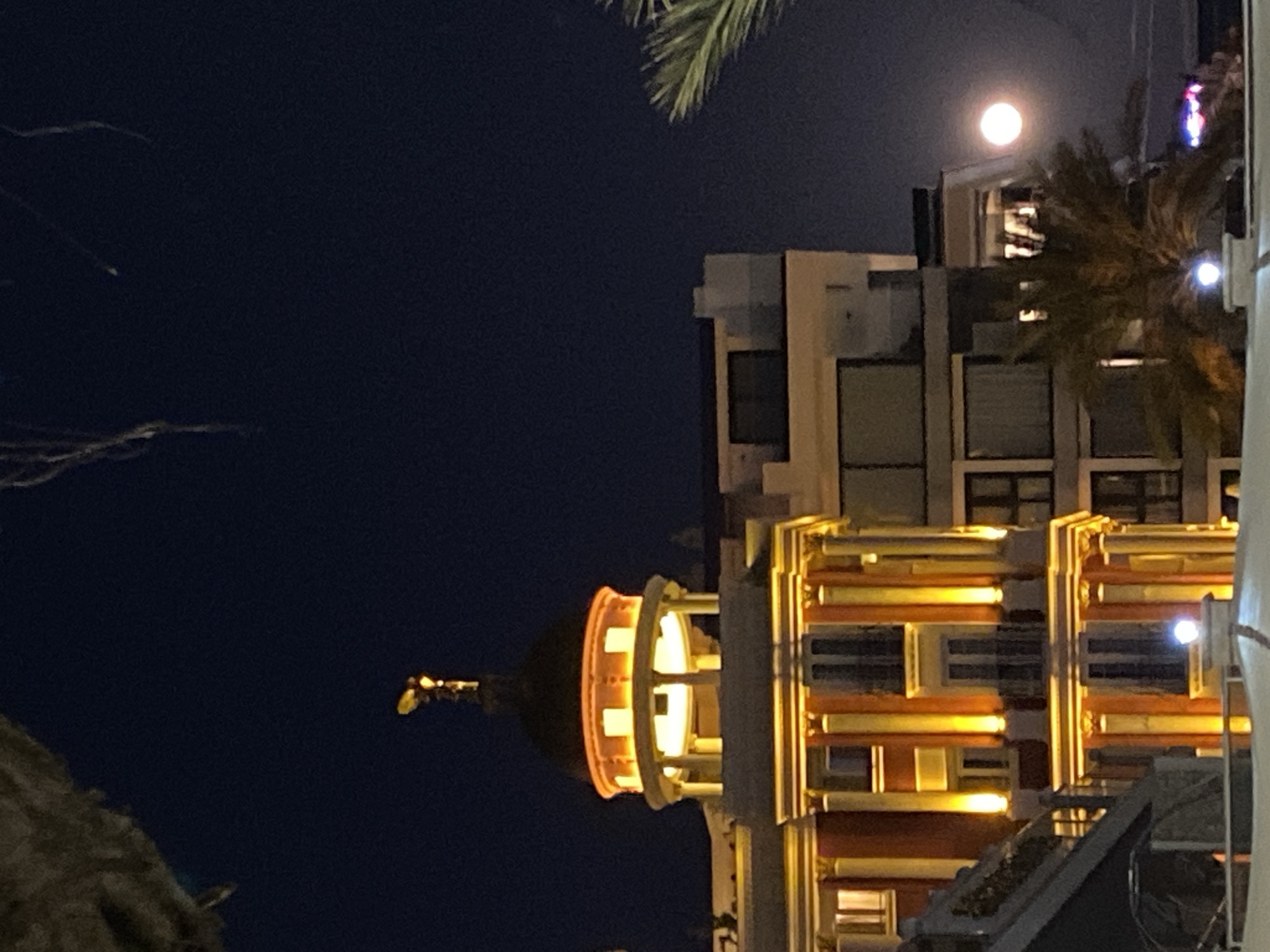 This vertical image captures a serene nighttime urban scene, likely in Alanya, Turkey. The upper and left sections of the frame are dominated by a deep blue to black night sky.
A bright, prominent moon, appearing full or nearly full, glows softly in the upper right portion of the sky. Below it, a section of a palm frond extends into the frame.
The lower and right areas of the image feature illuminated buildings. The most striking is a structure showcasing ornate architecture, possibly reflecting local historical styles. This building is brilliantly lit with warm, golden-yellow lights that highlight its columns, balconies, and intricate facade details. A distinctive feature is a domed section with an open, columned upper level, also bathed in golden light, topped by what appears to be a finial or small statue. Behind and above this ornate structure, a less decorative building with multiple windows is visible. Another dark mass of foliage, possibly part of a large tree or palm, occupies the bottom-left corner of the image.
There is no visible human activity or text. The scene conveys a peaceful and atmospheric night, emphasizing the illuminated architecture against the dark sky and the natural presence of the moon and palm trees.