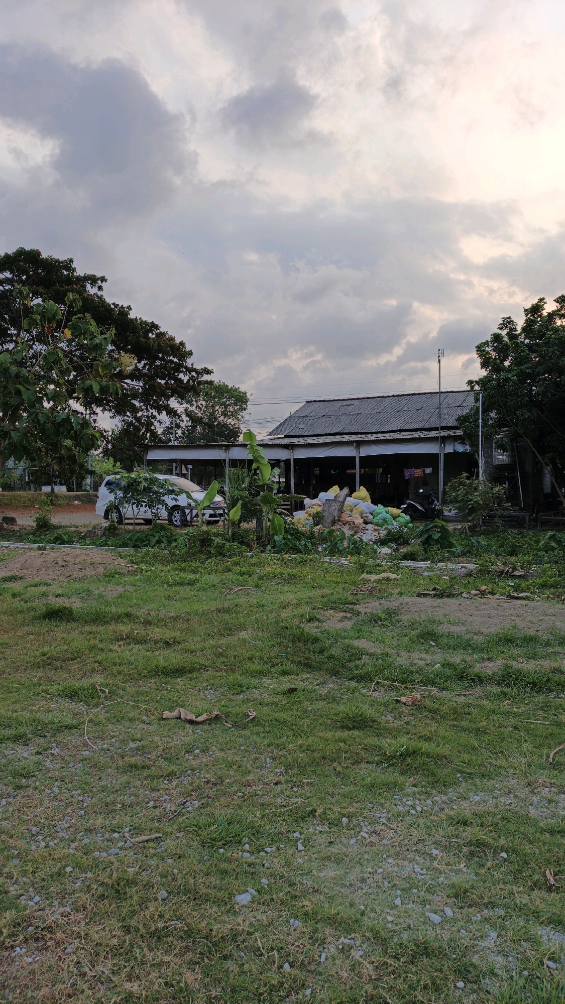 The image depicts an outdoor scene in Boyolangu, Indonesia, characterized by an overcast sky and a somewhat cluttered environment. In the foreground, a grassy area with scattered small stones and dry leaves is visible. Leading towards the middle ground, there's a transition to a patch of dirt and more densely grown grass.
The middle ground is dominated by a structure that appears to be a building or a large covered area, possibly a shop or a small warehouse. This structure has a corrugated metal roof supported by posts. In front of this building, there is a pile of sacks, some of which are yellow and green, suggesting they might contain goods or waste. A white vehicle, possibly a minivan, is parked to the left of the structure, partially obscured by greenery. Various plants, including banana trees, are growing around the building and the piled sacks. A motorcycle is parked to the right of the building.
The background shows more trees and the sky, which is filled with heavy, gray clouds, indicating a potentially gloomy or impending weather change. The overall impression is of a functional, possibly commercial or agricultural, outdoor space that is not meticulously maintained, with elements of everyday life, such as parked vehicles and storage sacks, present.