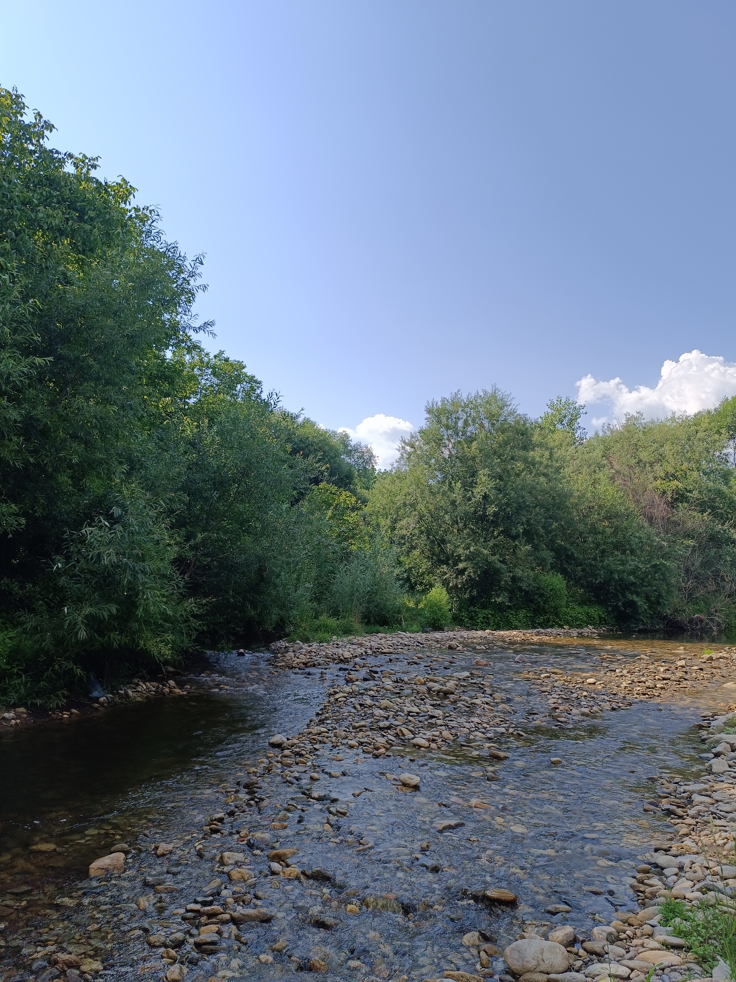 This media file depicts a serene natural landscape in Stănești, Romania, on a clear day. The scene is dominated by a shallow, rocky river flowing through a lush forest. The water is clear, revealing the smooth, multicolored stones that form the riverbed. The riverbanks are densely populated with a variety of green trees and bushes, some of which extend over the water.
On the left side of the image, the trees form a thick canopy, creating a darker, more shaded area along the river's edge. On the right, the river widens slightly, and the bank is covered with a dense collection of stones, some appearing larger and smoother than those in the water. In the background, more trees continue to line the landscape, with a few fluffy white clouds visible against the bright blue sky.
The lighting suggests it is daytime, likely late morning or early afternoon, given the bright sunlight and the clear sky with only a few scattered clouds. The overall mood of the image is peaceful and tranquil, showcasing the natural beauty of the Romanian countryside. There is no visible text in the image. The scene appears untouched by human activity, emphasizing its wild and natural state.