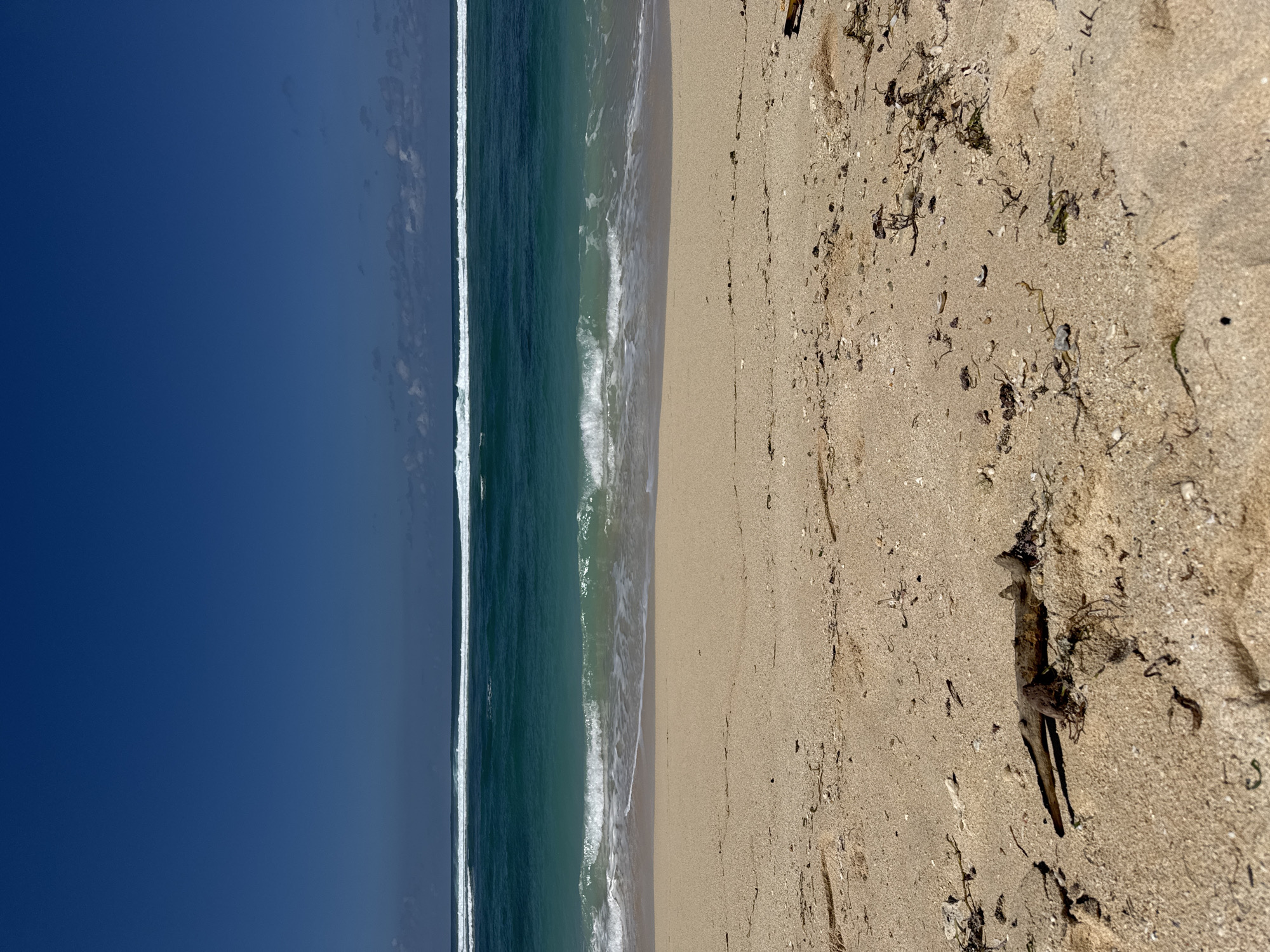 A beach scene in Kuta Selatan, Indonesia. The image captures a stretch of light brown sand in the foreground, with scattered debris such as dried seaweed and a piece of driftwood. The sand appears dry and slightly rippled. In the middle ground, the turquoise ocean meets the shore with gentle waves breaking, creating white foam. Further out, the ocean transitions to a deeper blue, with multiple lines of white surf visible on the horizon. The sky above is a clear, vibrant blue. The composition is horizontal, emphasizing the expansive view of the sea and sky.