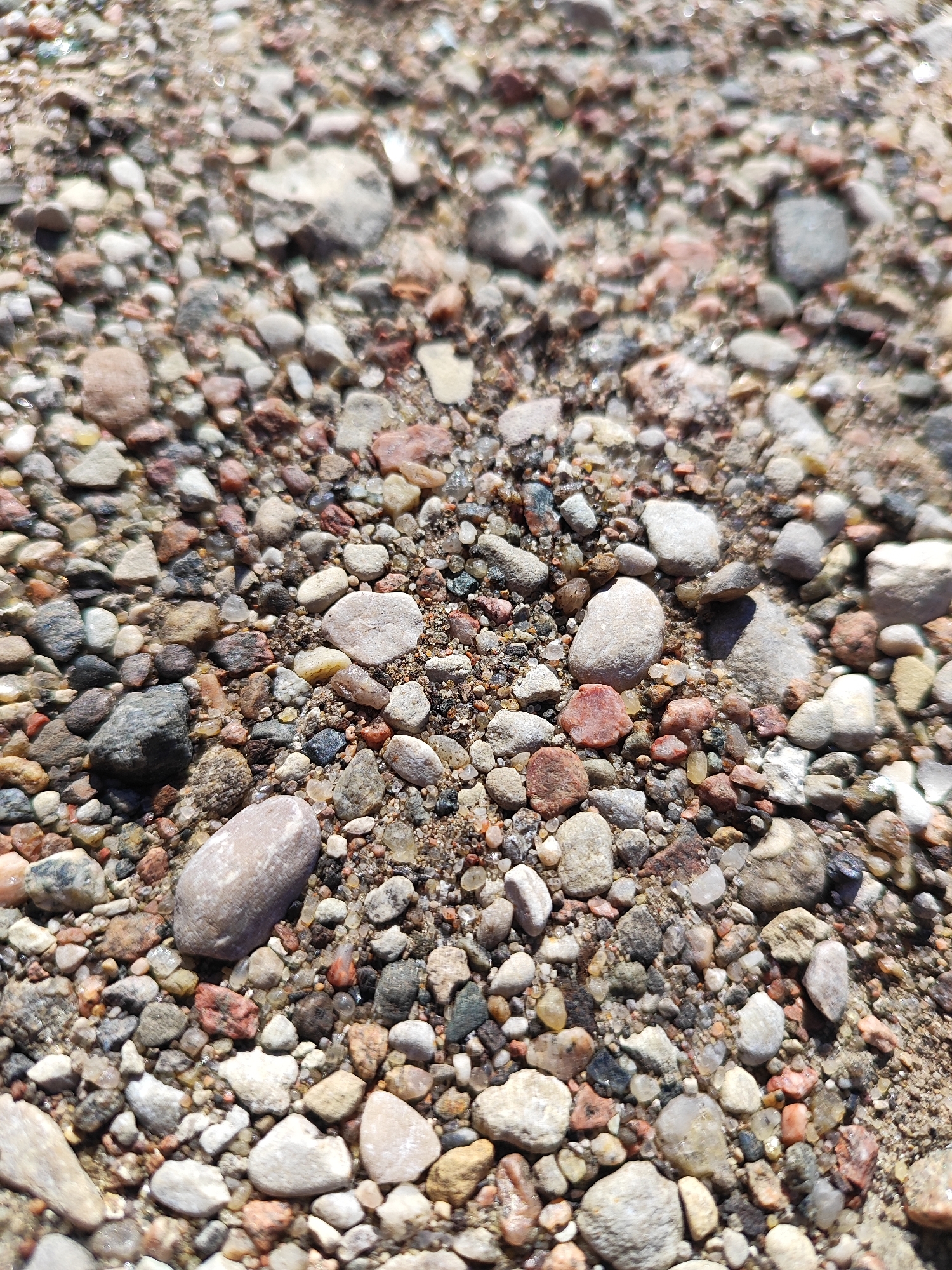 This is a close-up, overhead photograph of a granular surface composed of numerous small stones, pebbles, and sand. The stones vary in size, shape, and color, with prominent hues of gray, brown, white, and reddish-pink. Some stones are smooth and rounded, while others are irregular and angular. The sand appears to be light brown. The scene is well-lit, suggesting it is outdoors during the daytime, with shadows indicating the direction of light. There are no people, animals, or man-made structures visible in the image. The image does not contain any information that can be used to identify its location within the city of Hrodna, Belarus.
